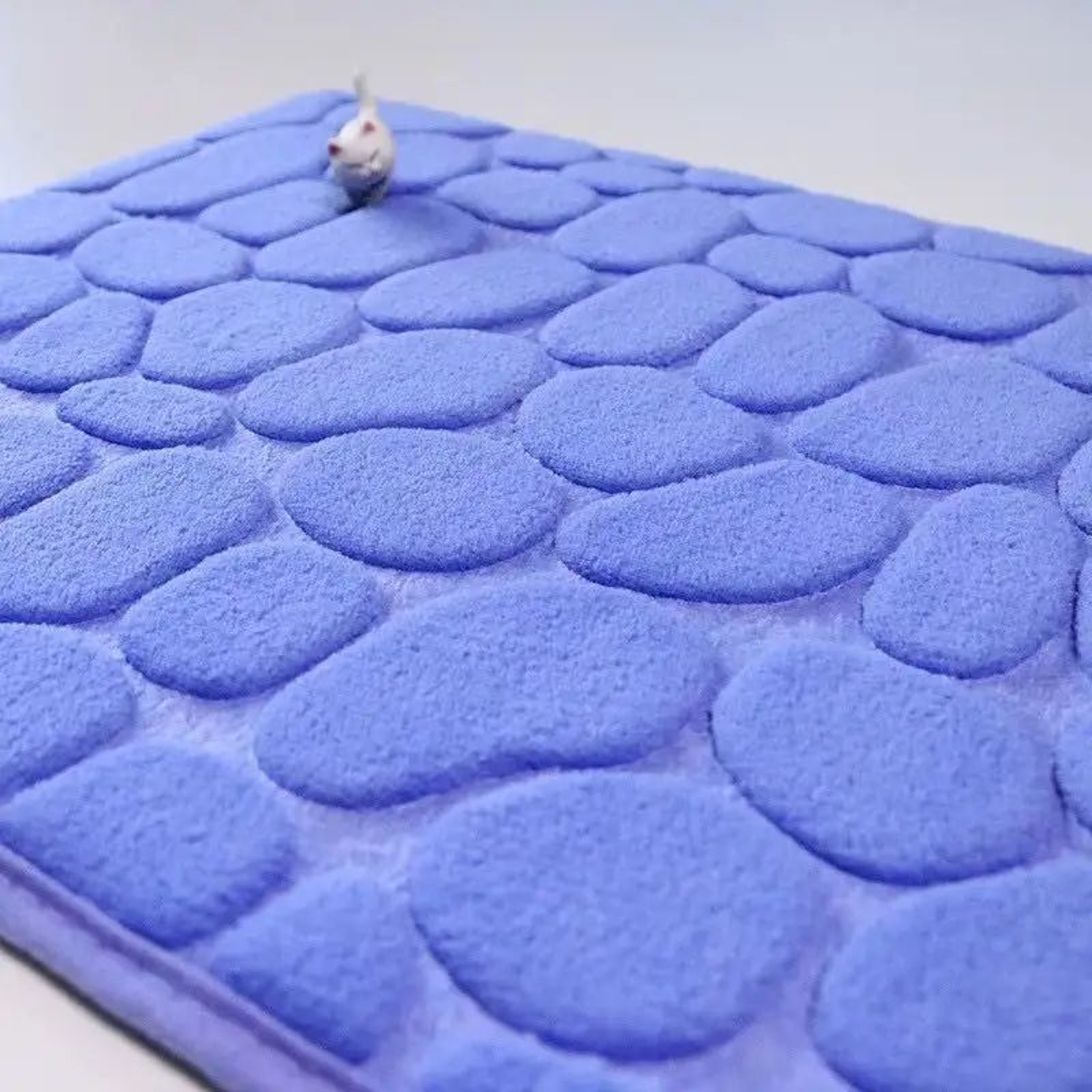 Coral Velvet Bathroom Mat Non Slip Rug 8