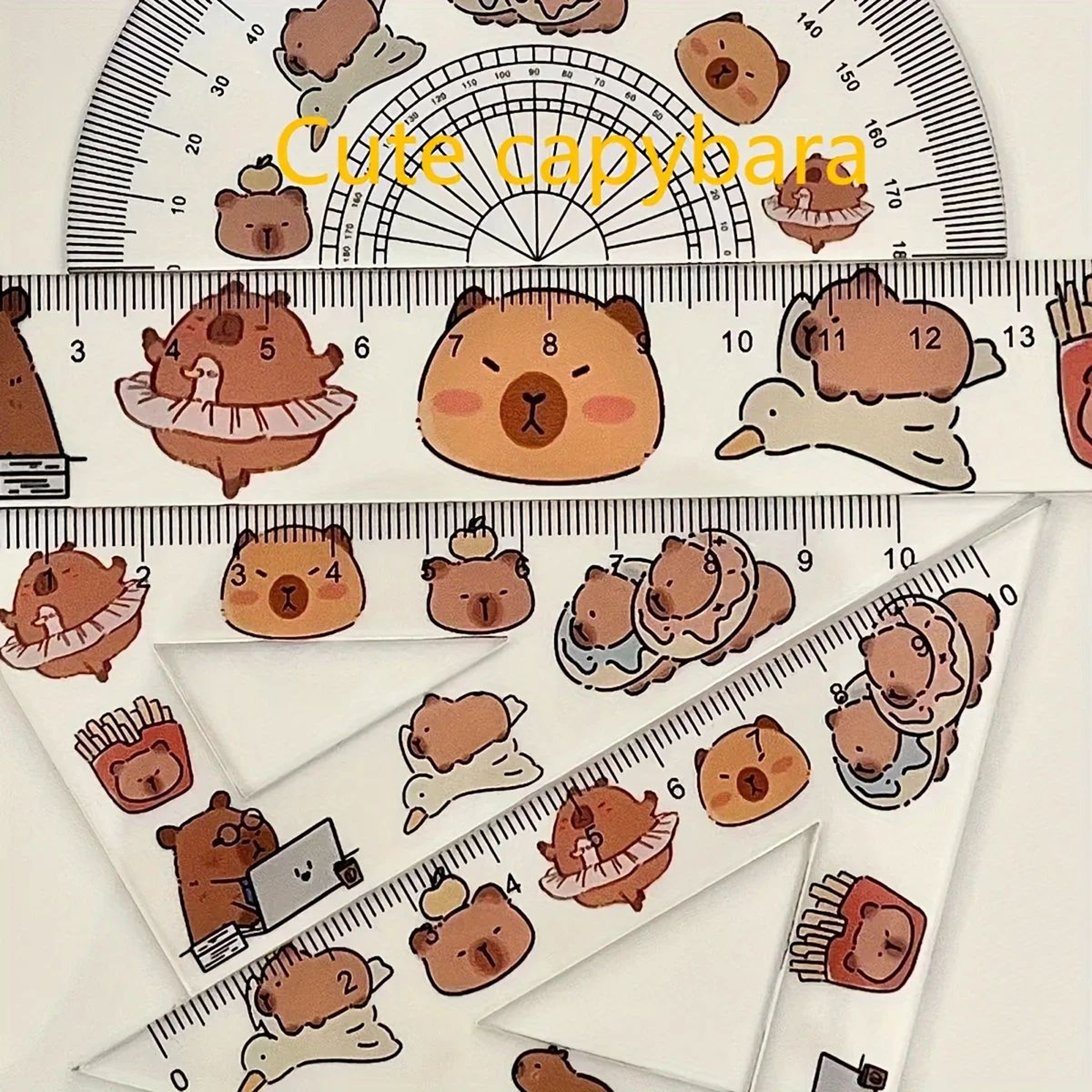 Capybara Geometry Ruler Set 2