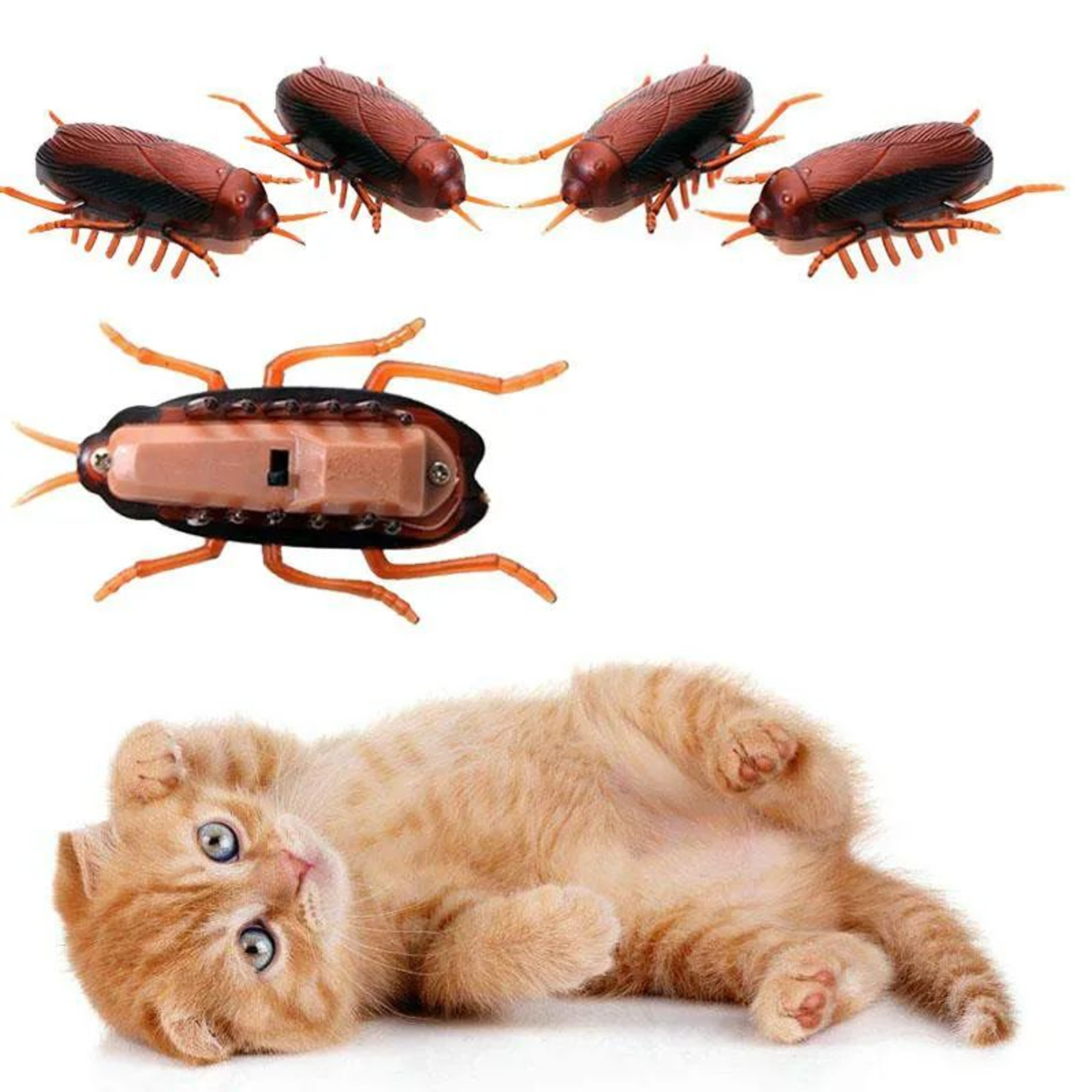 Electronic Running Cockroach Cat Toy Interactive Battery Powered Pet Chase Toy 0