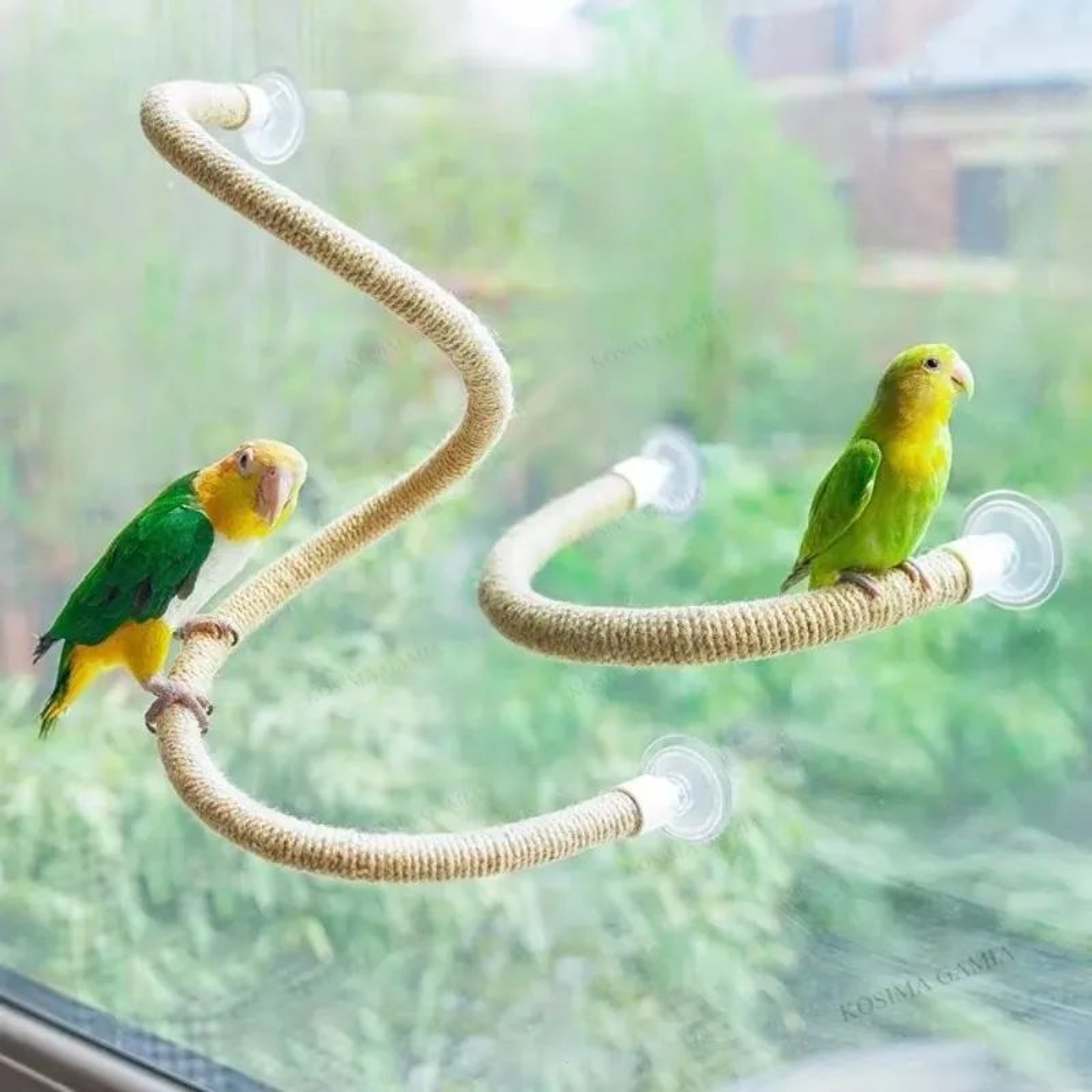 Flexible Bird Climbing Rope Perch With Suction Cup Non Slip Bird Perch Toy 4