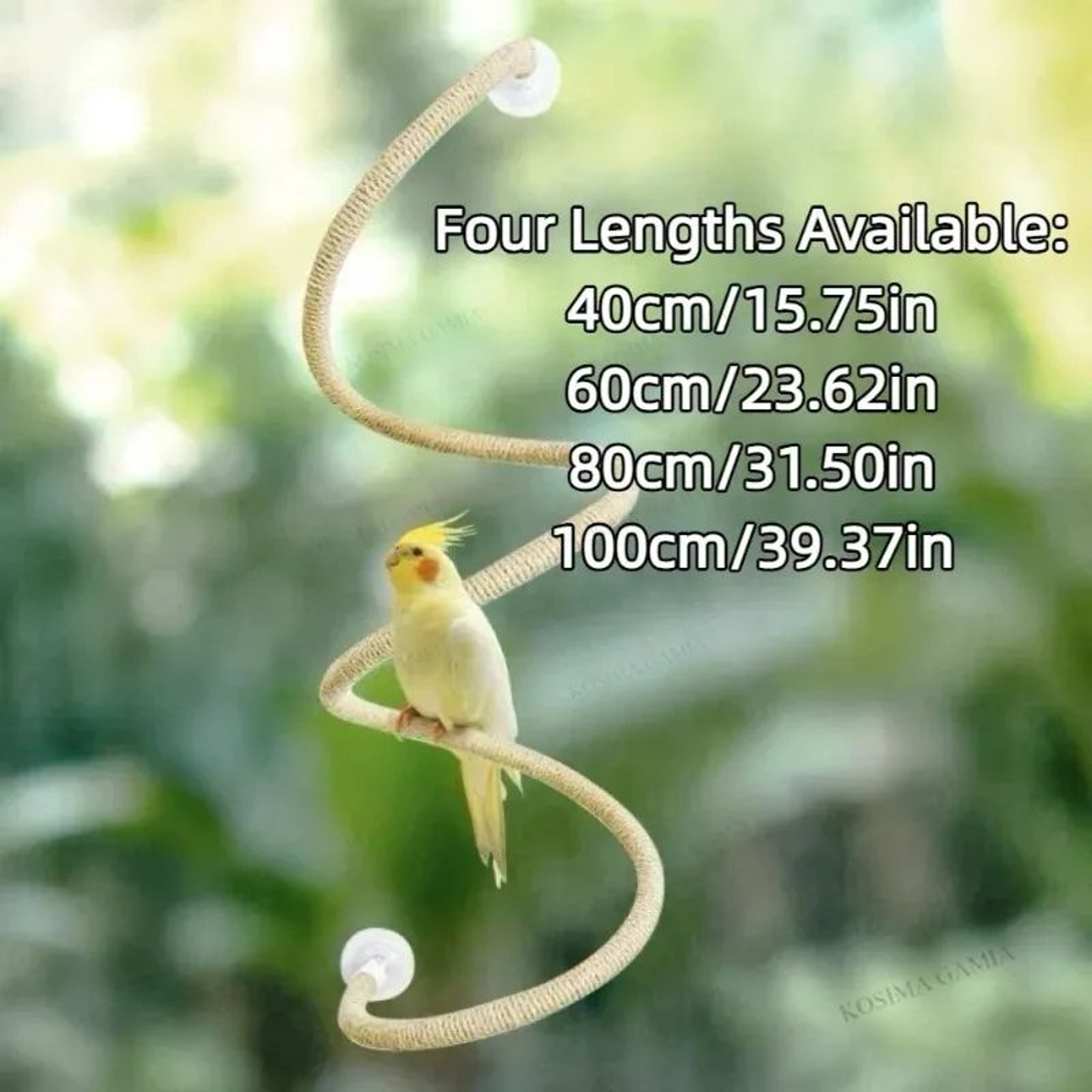 Flexible Bird Climbing Rope Perch With Suction Cup Non Slip Bird Perch Toy 5