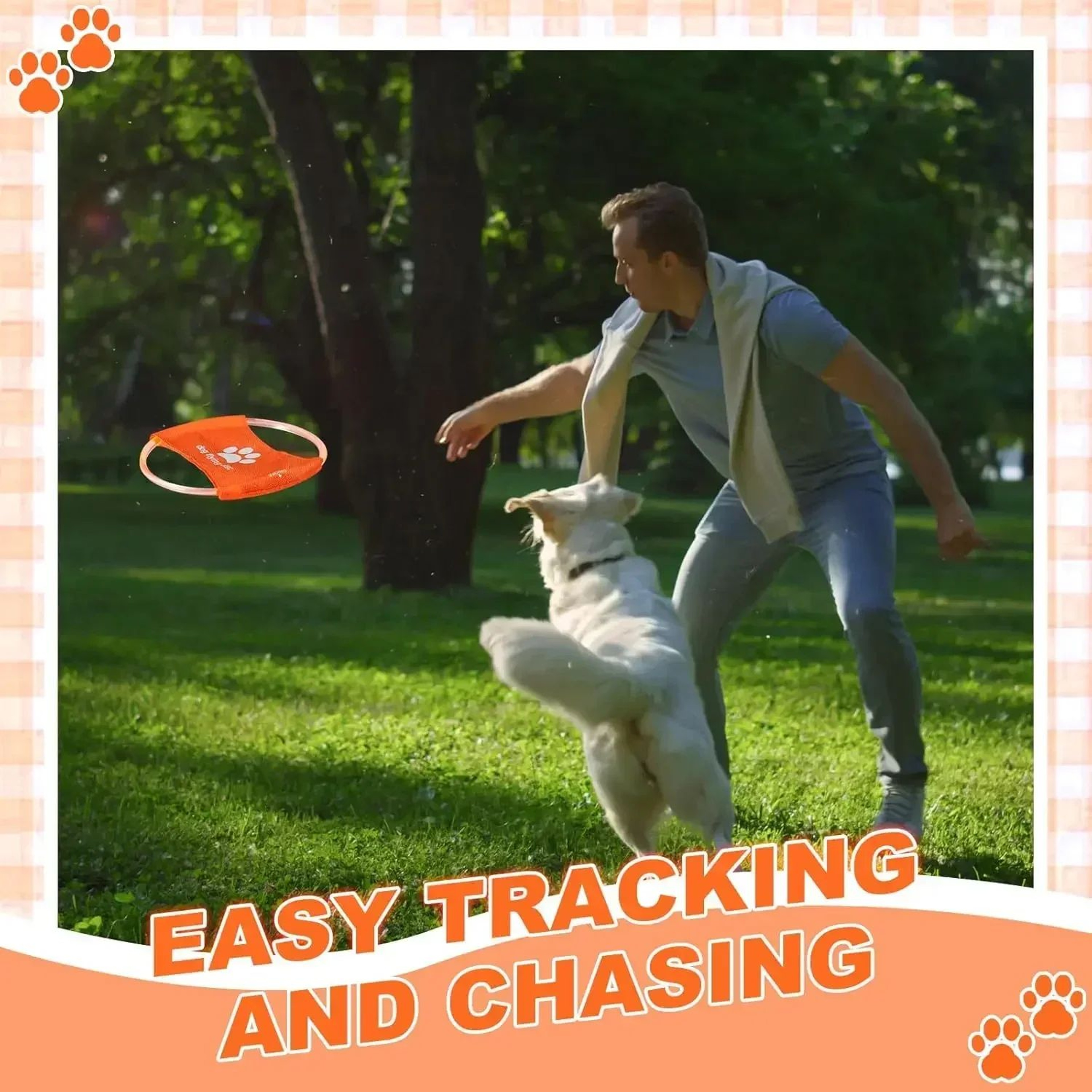 Rechargeable LED Flying Disc Dog Toy Interactive Light Up Fetch Training Disc 4