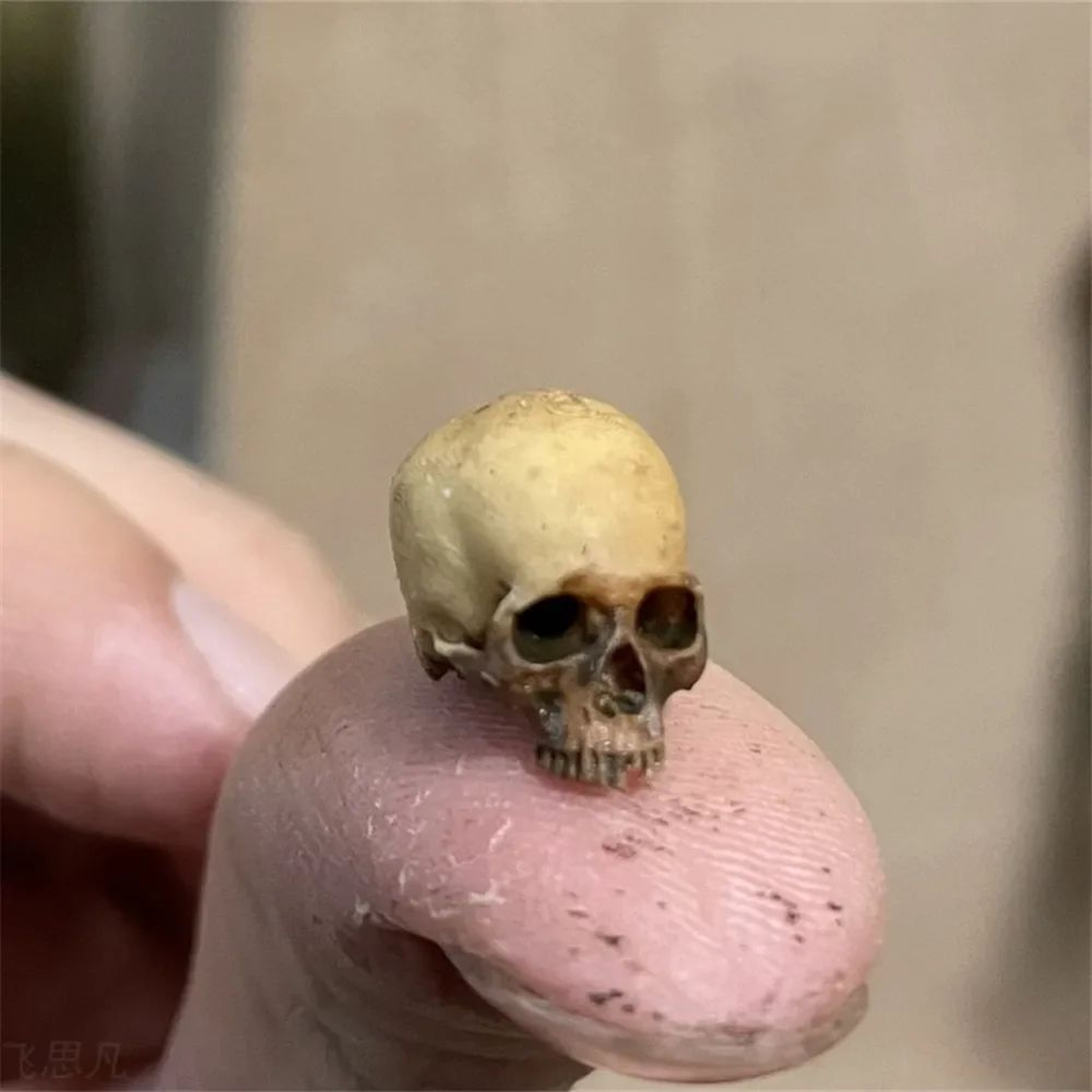 Mini Skull Halloween Miniature Decor 0