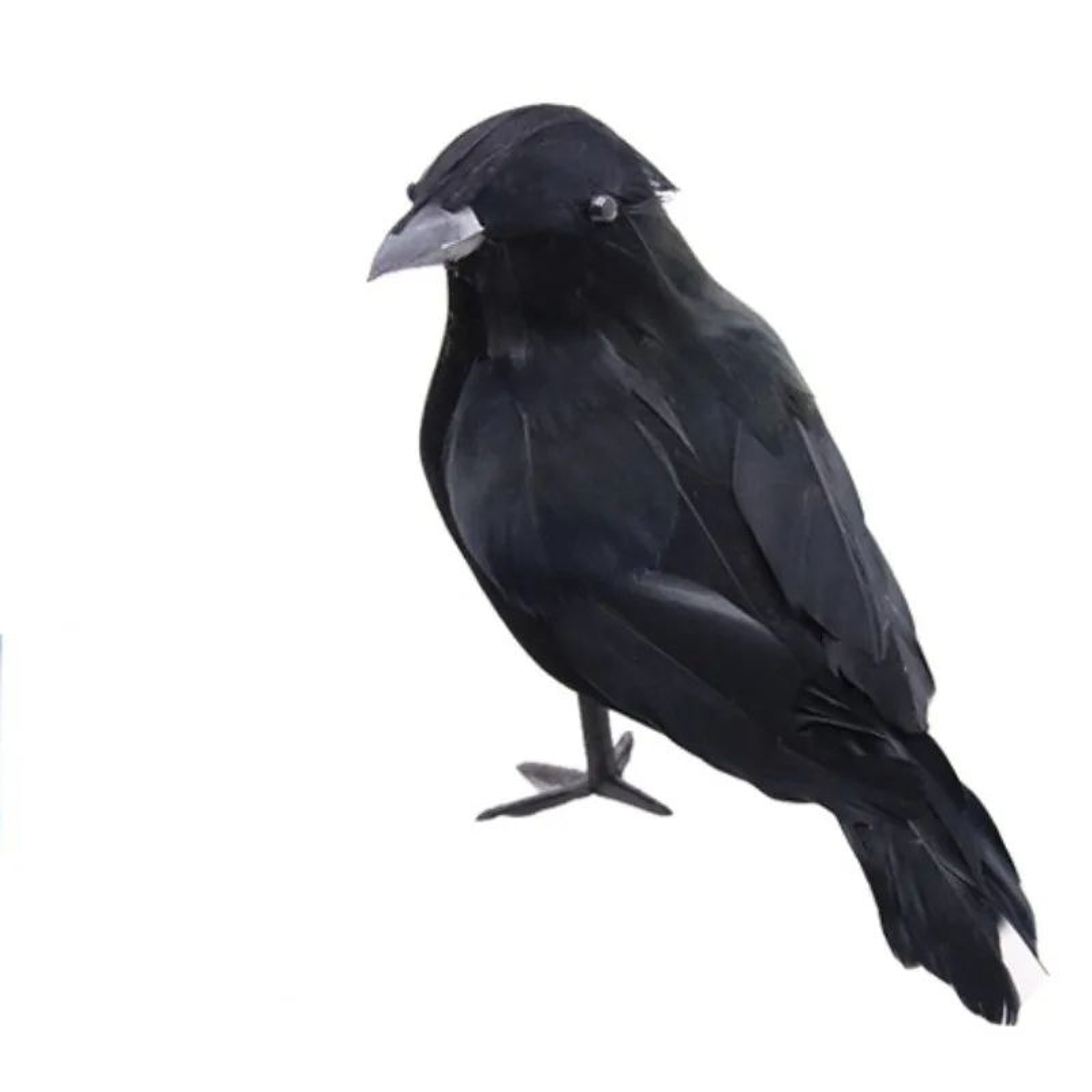 Realistic Black Crow Halloween Decor Set 6