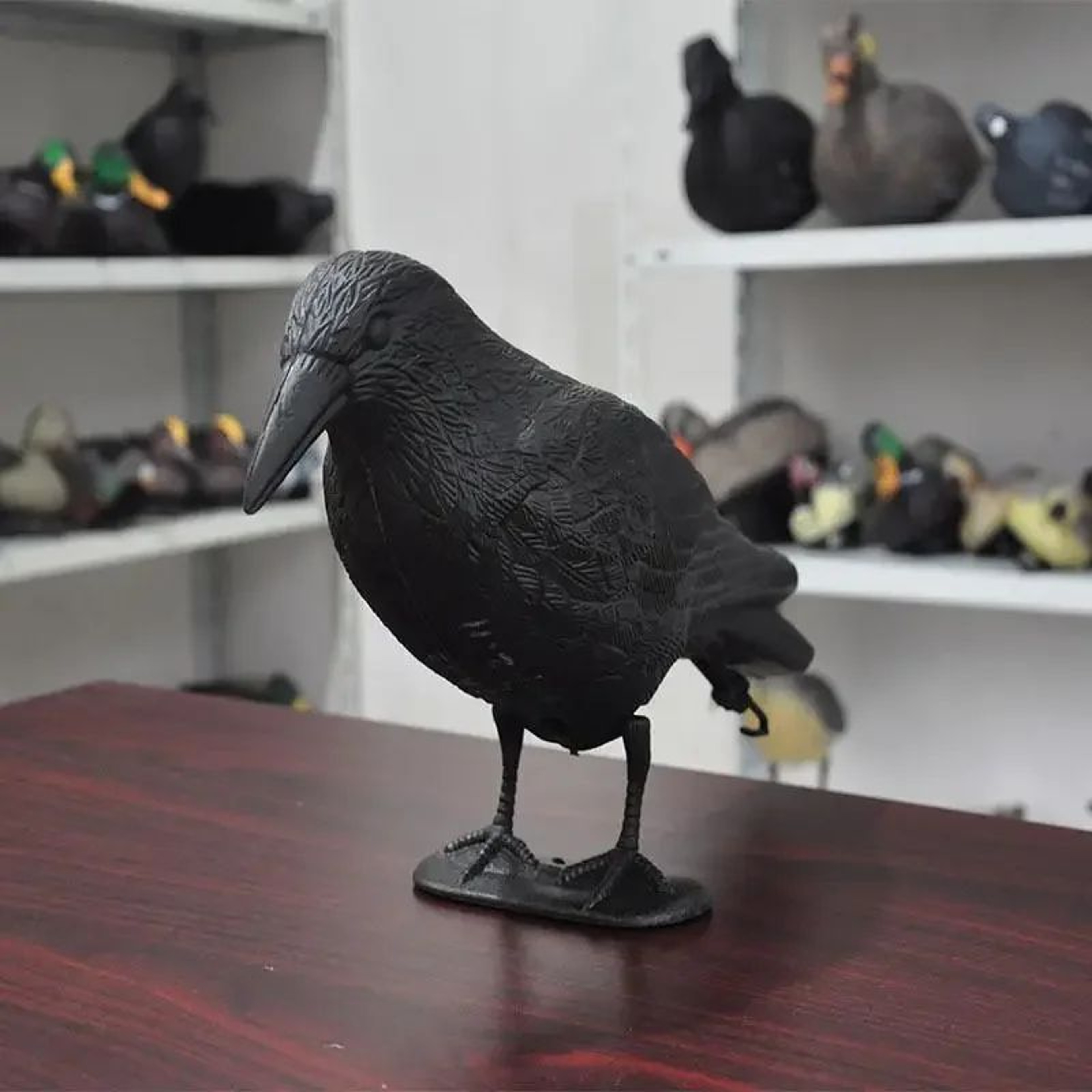 Realistic Black Raven Garden Decoy 2