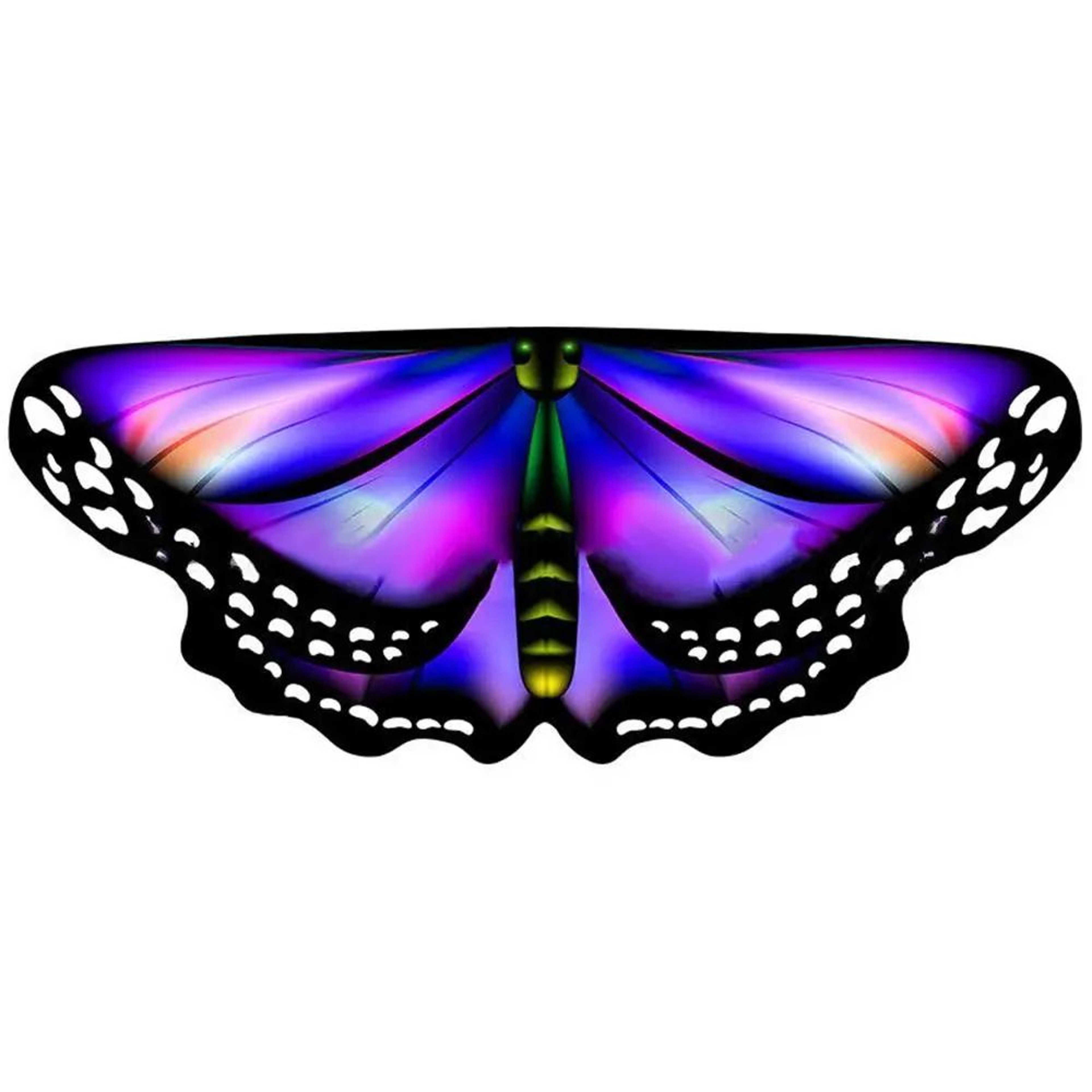 Colorful Butterfly Wings Fairy Cape 7