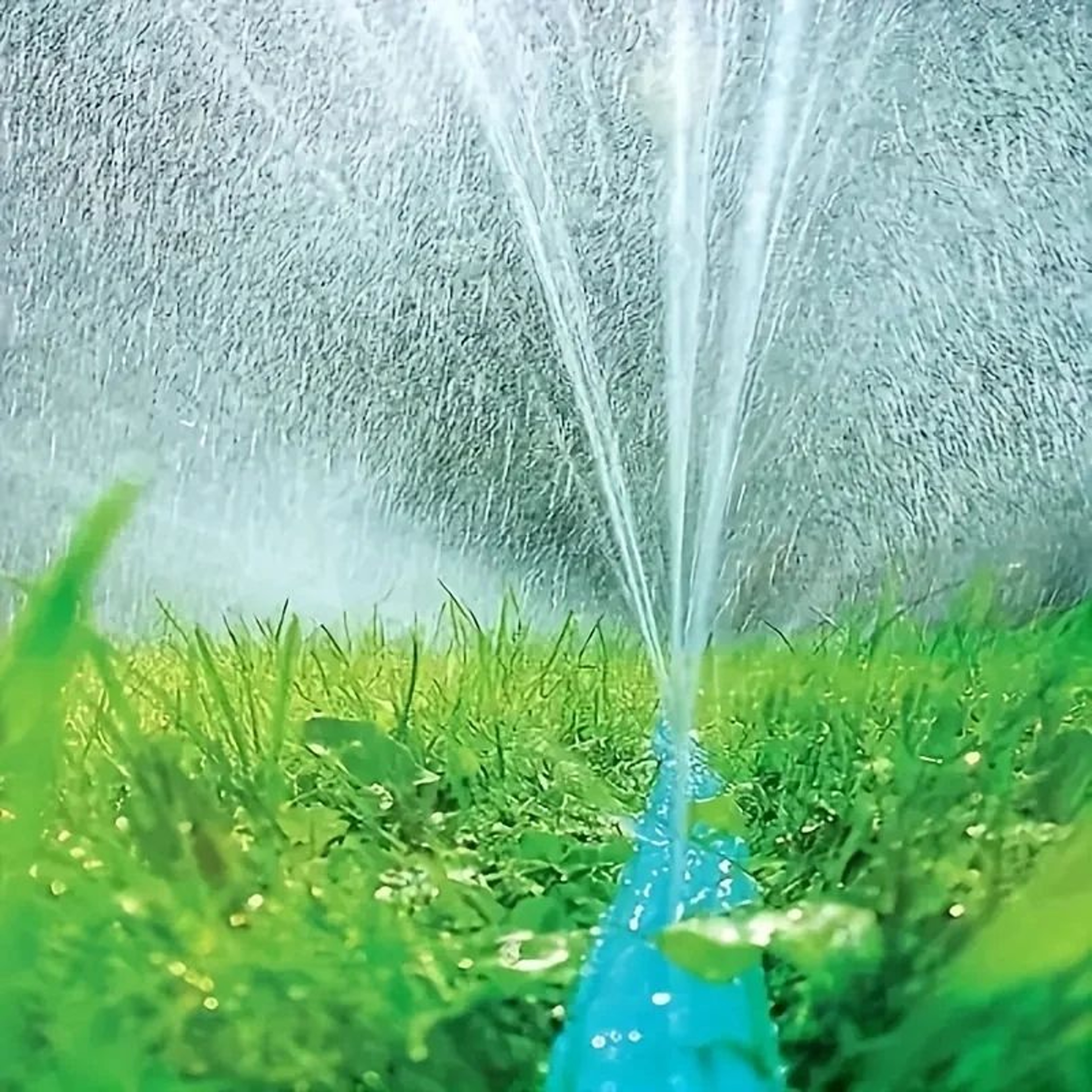 Garden Sprinkler Soaker Irrigation Hose 3