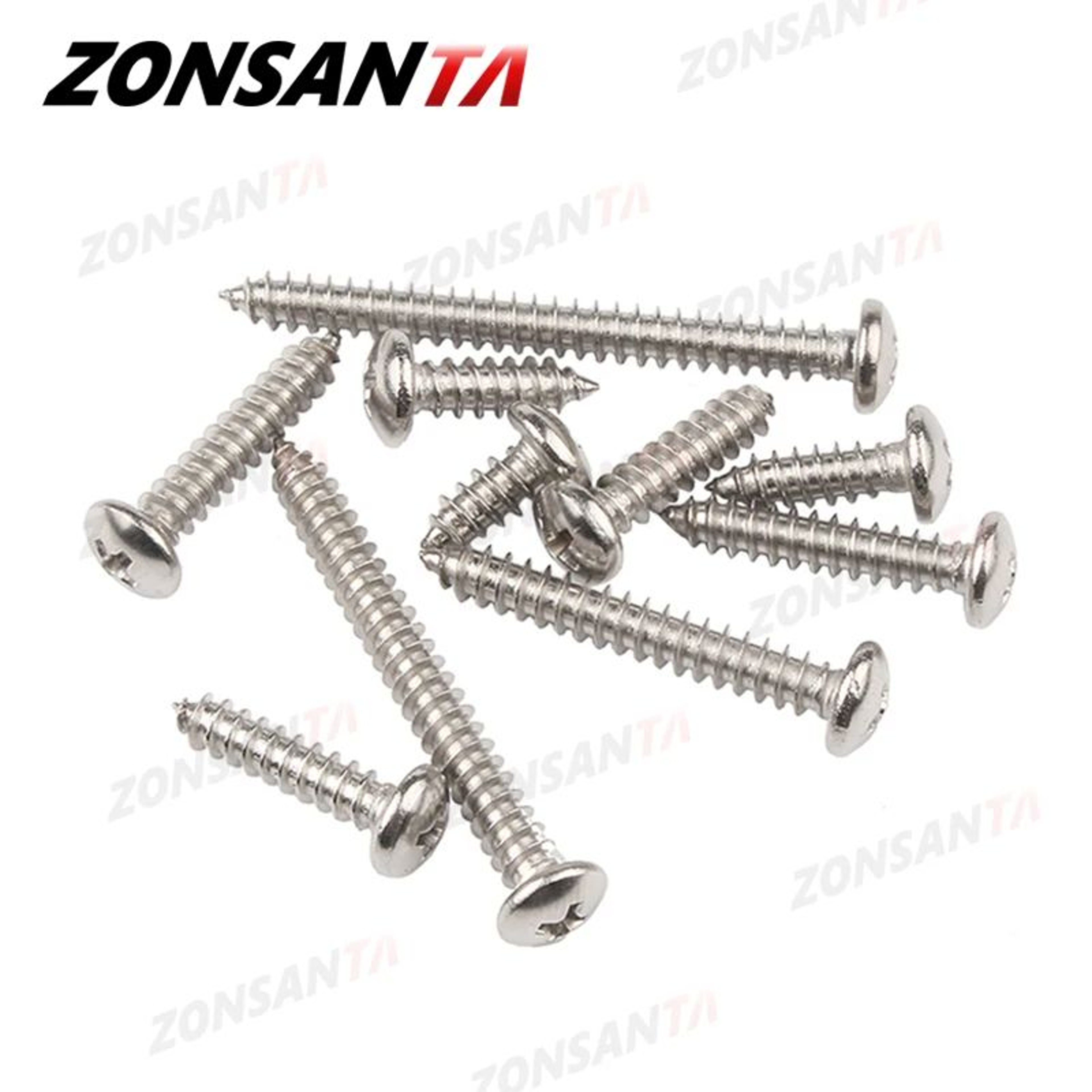 304 Stainless Steel Self Tapping Screws 4
