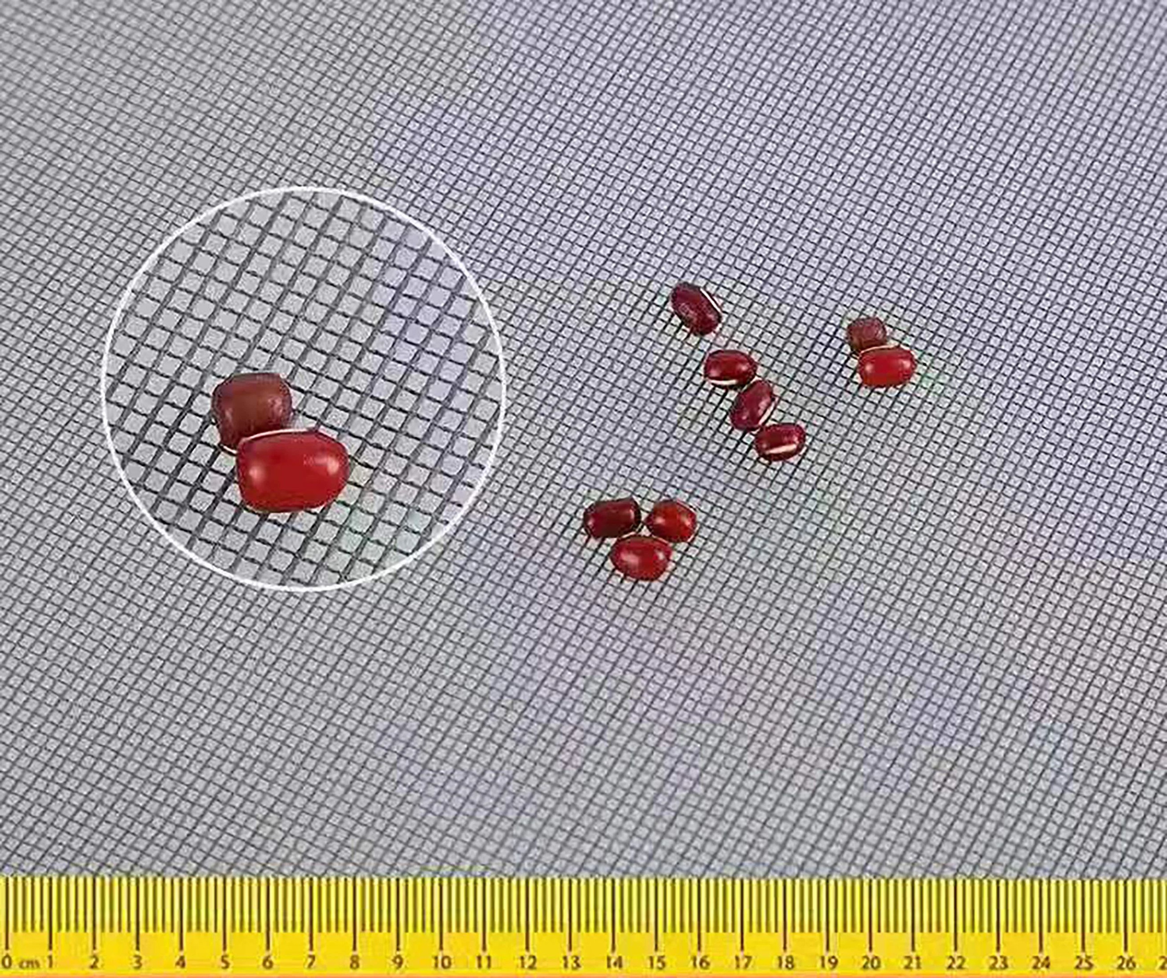 Black No Drill Mosquito Window Screen 1
