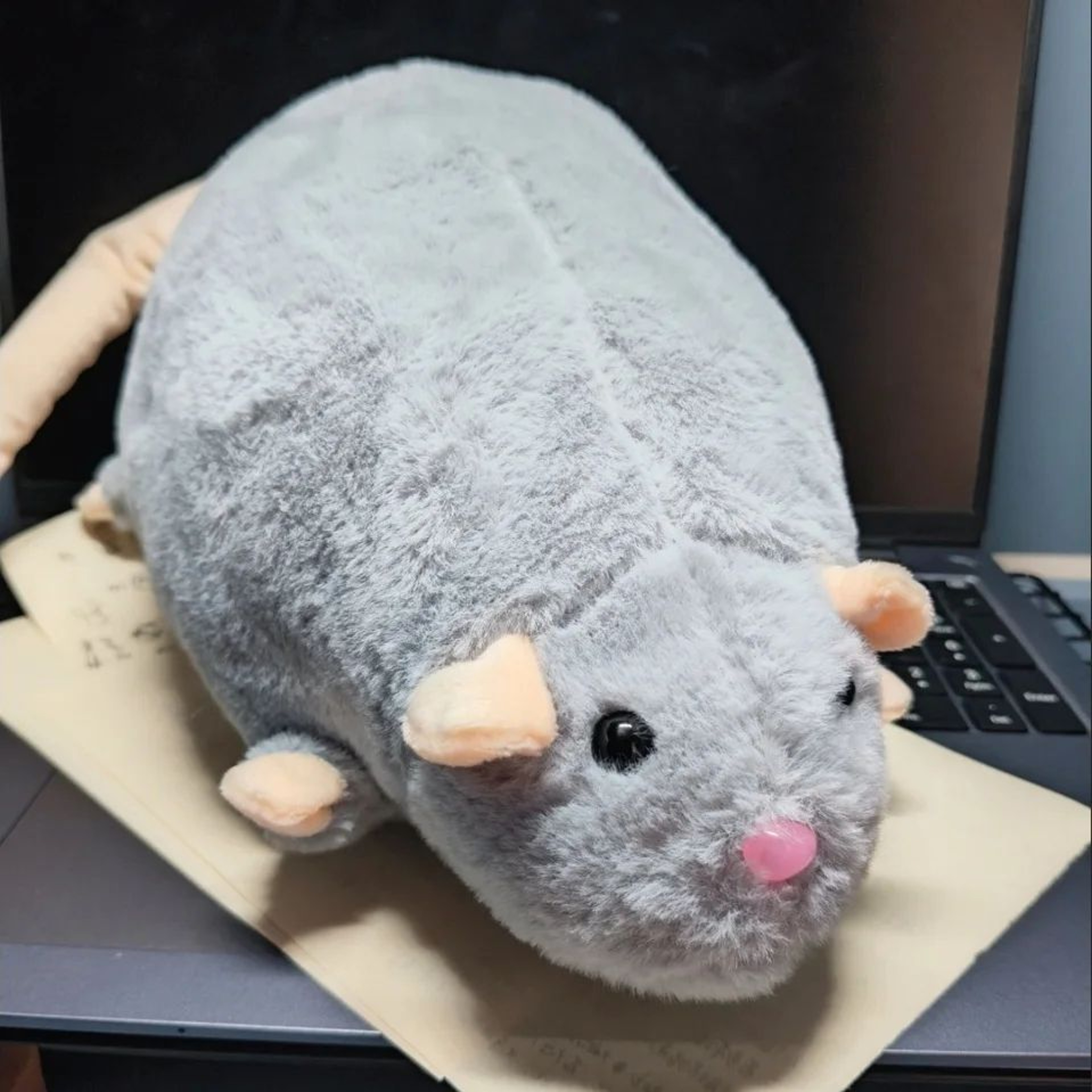 Cute Oversized Mouse Plush Toy 1