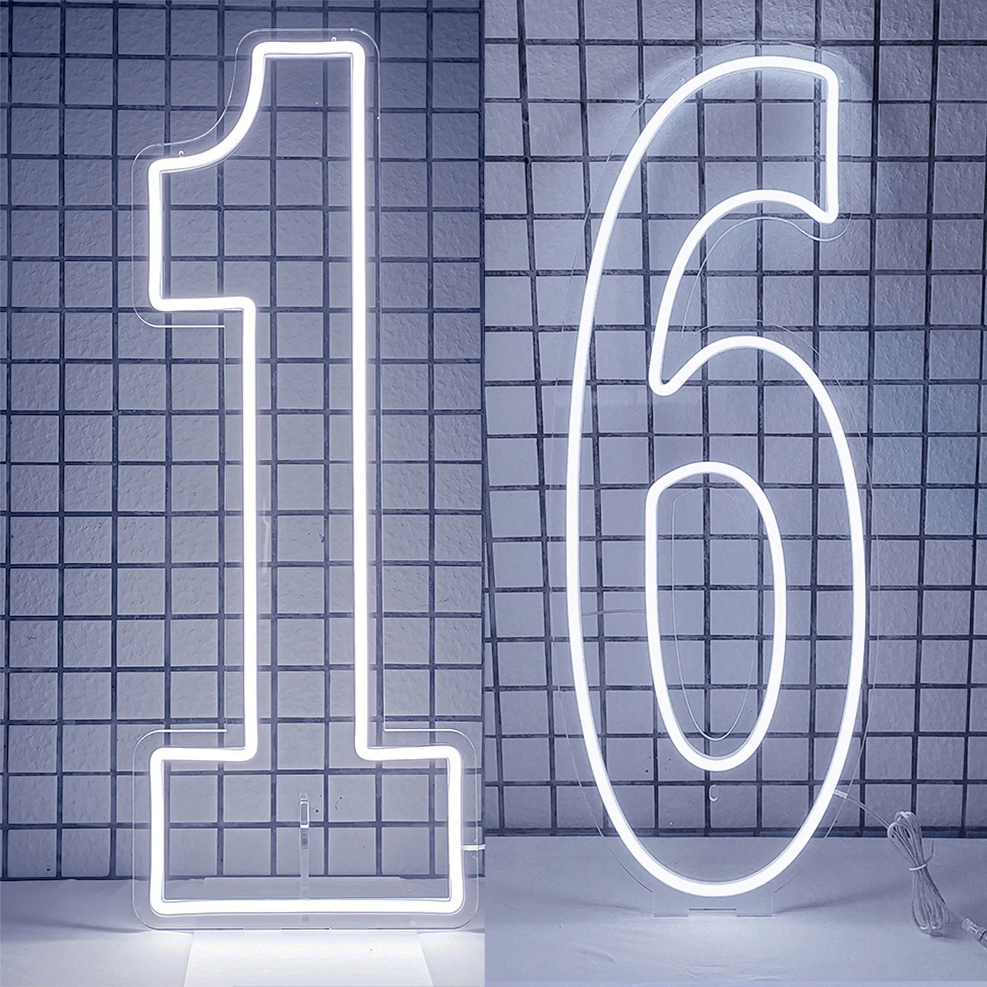 Extra Large LED Neon Number Party Sign 21