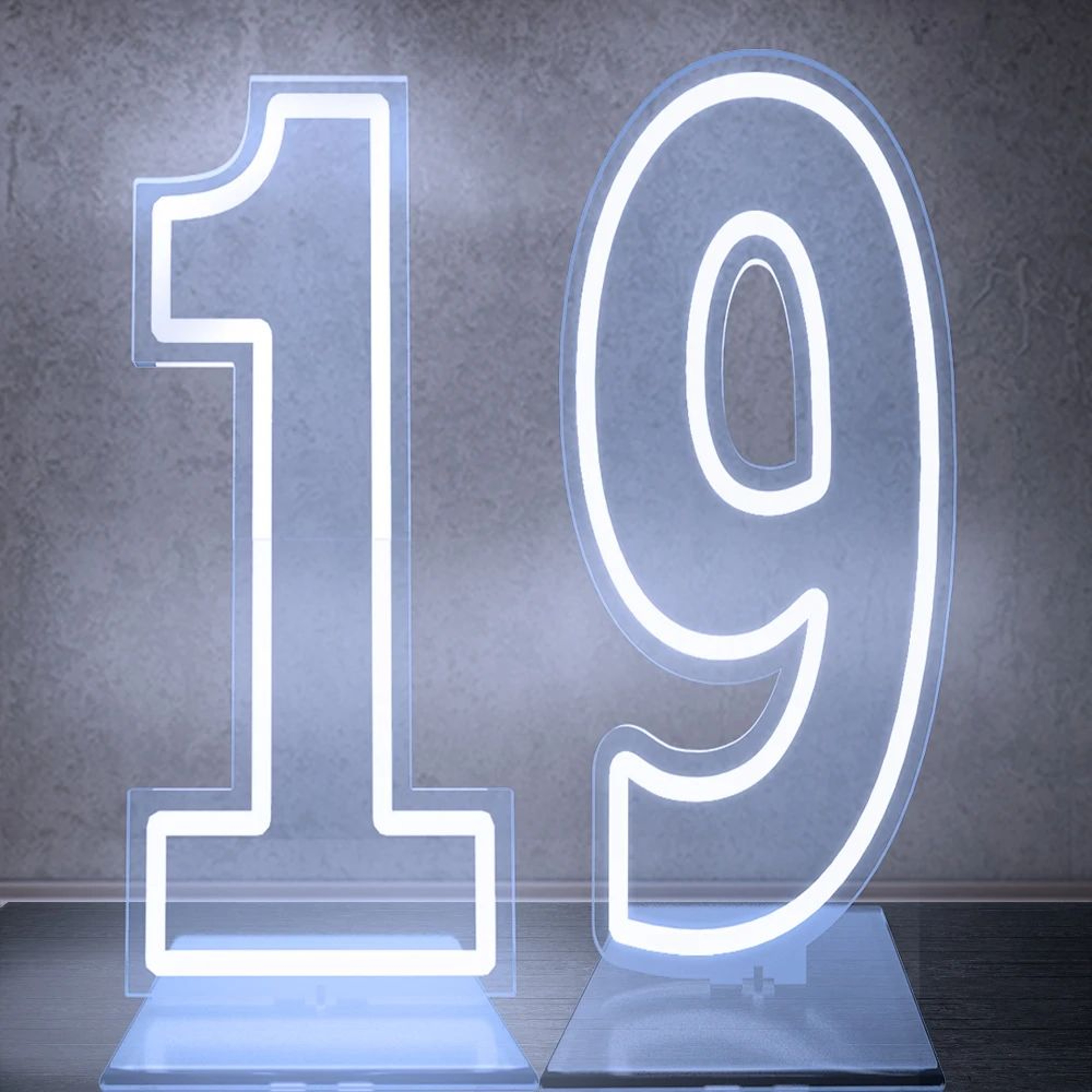 Extra Large LED Neon Number Party Sign 24