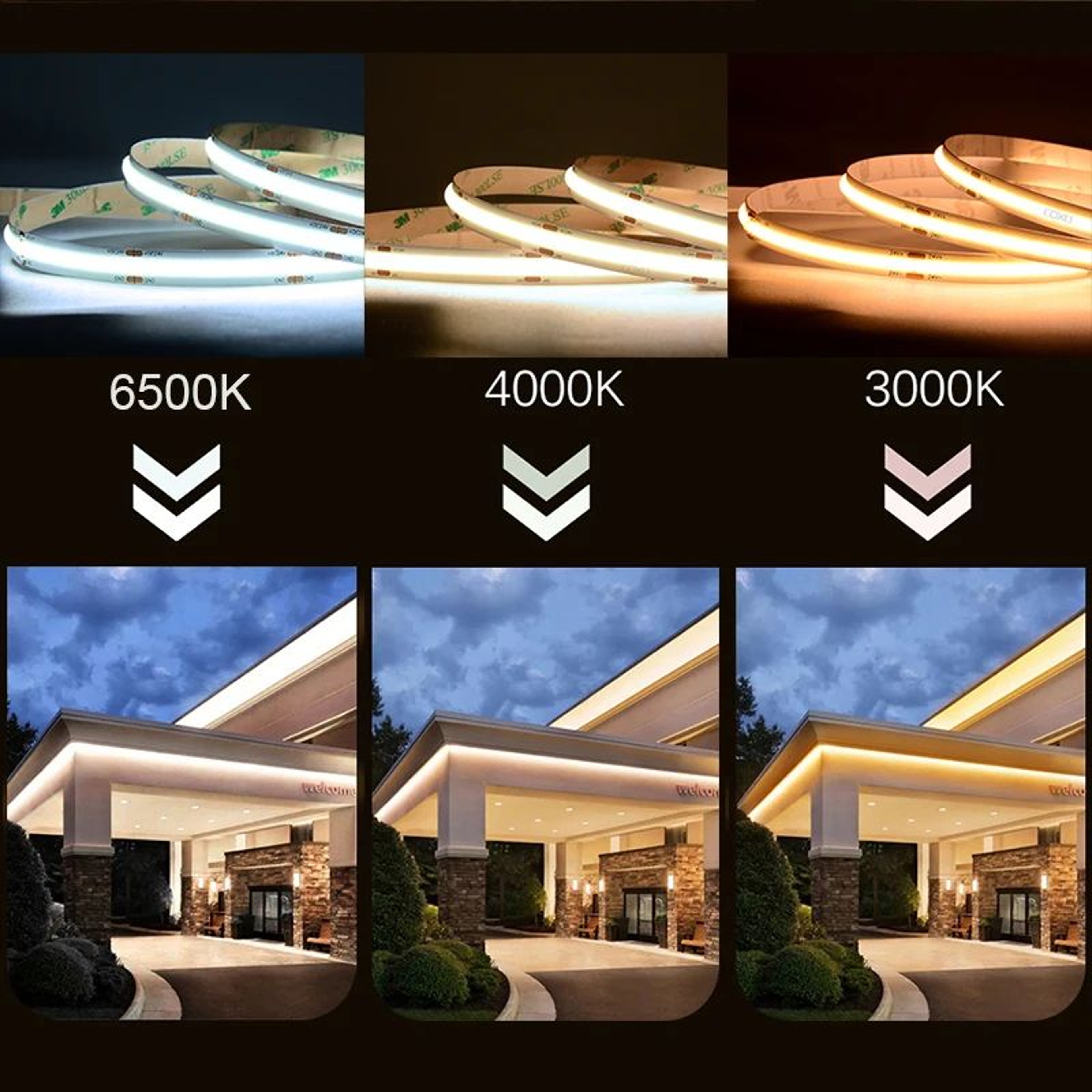 High Density Dimmable FCOB LED Strip Lights 5
