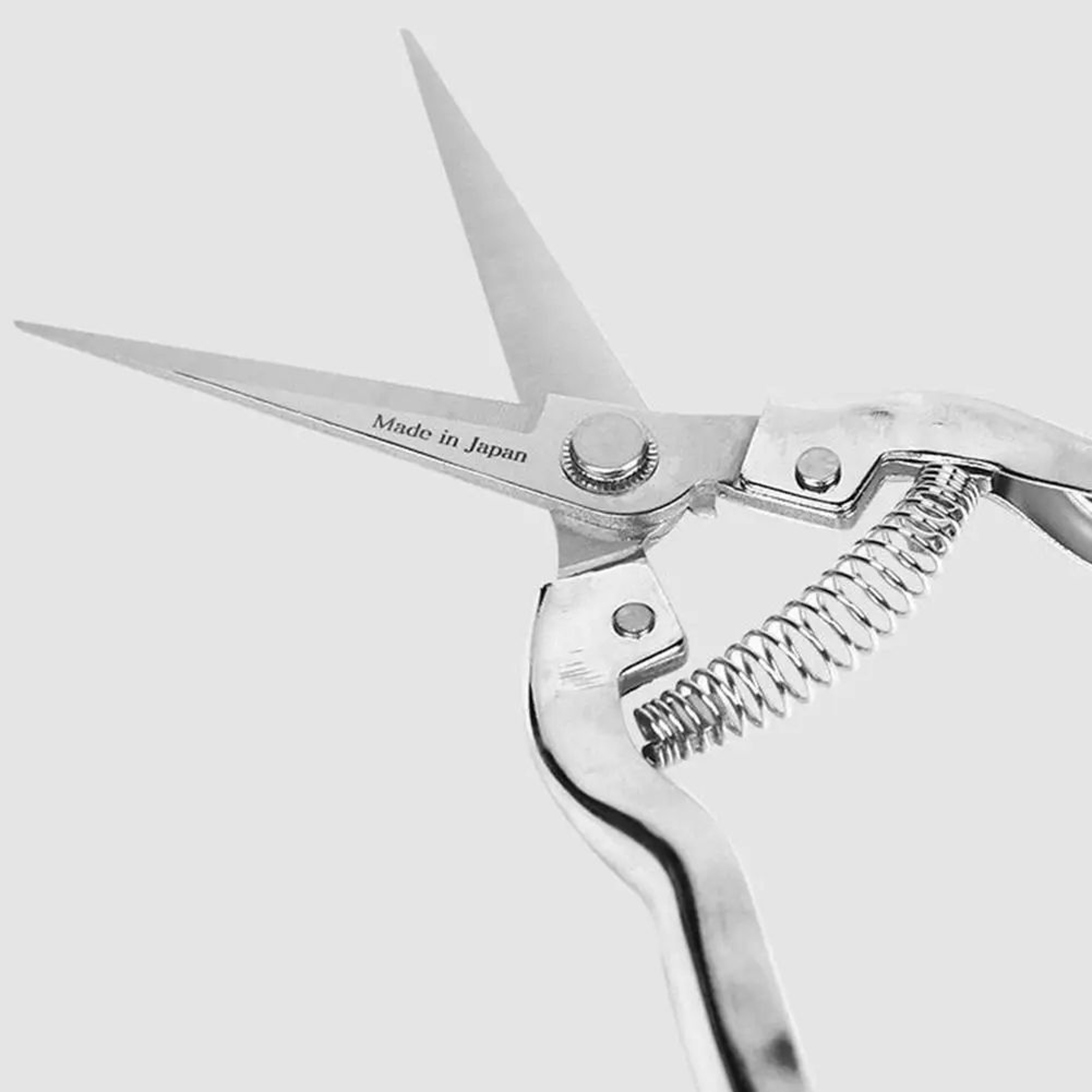 Stainless Steel Straight Pruning Shears 5