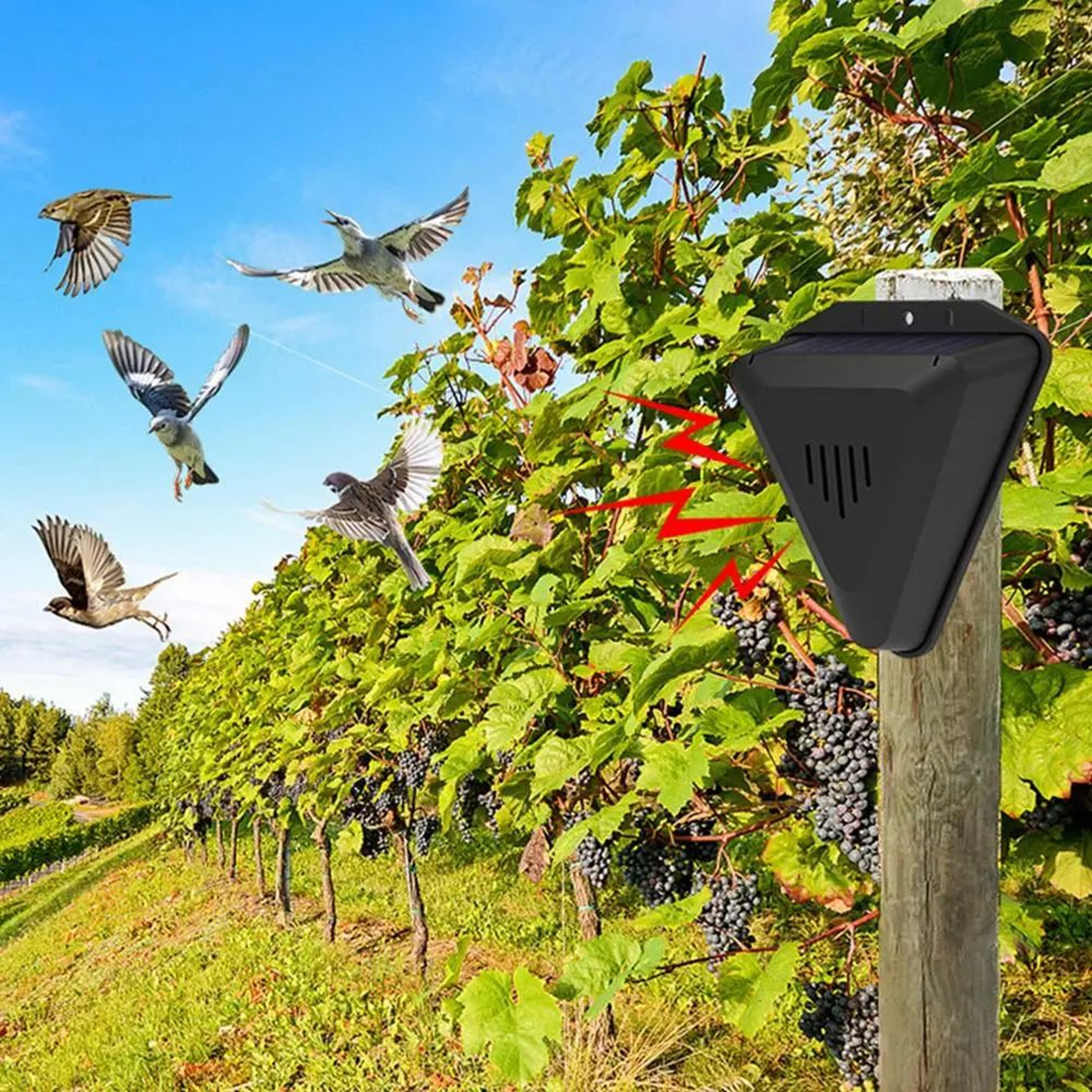 Solar Sound Bird Deterrent With Timer 1