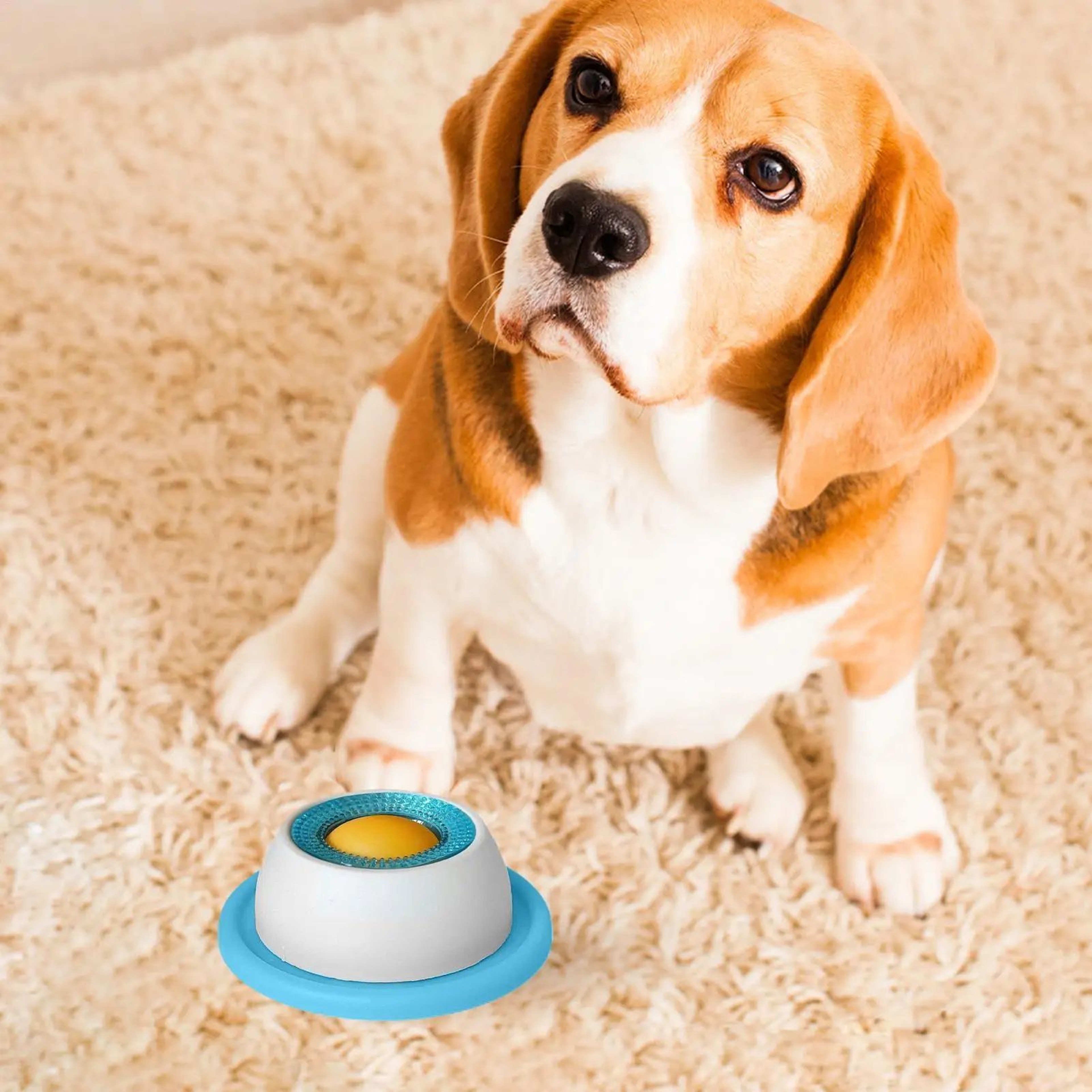 Interactive Slow Feeder Dog Puzzle Toy 4