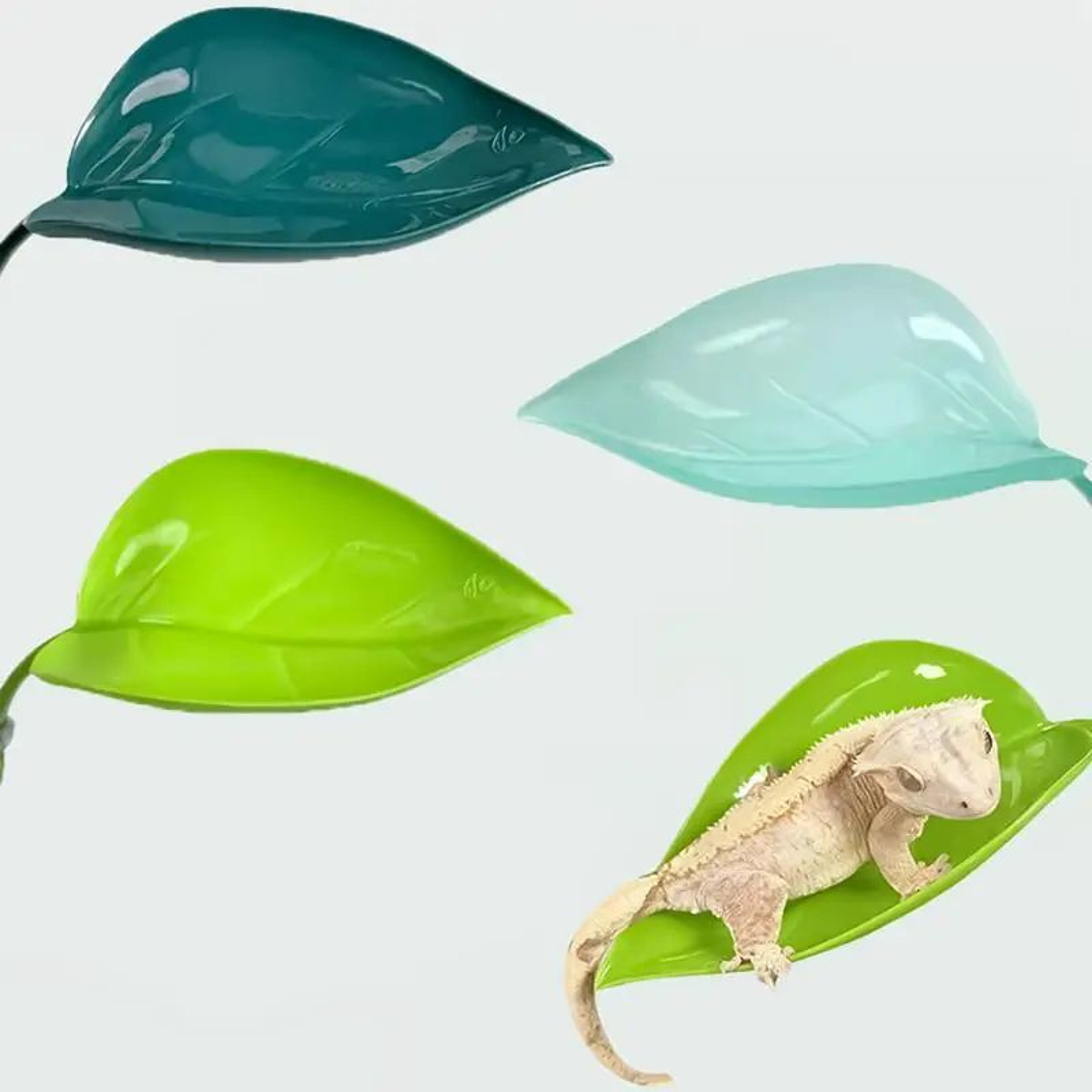 Suction Cup Reptile Leaf Resting Platform 0