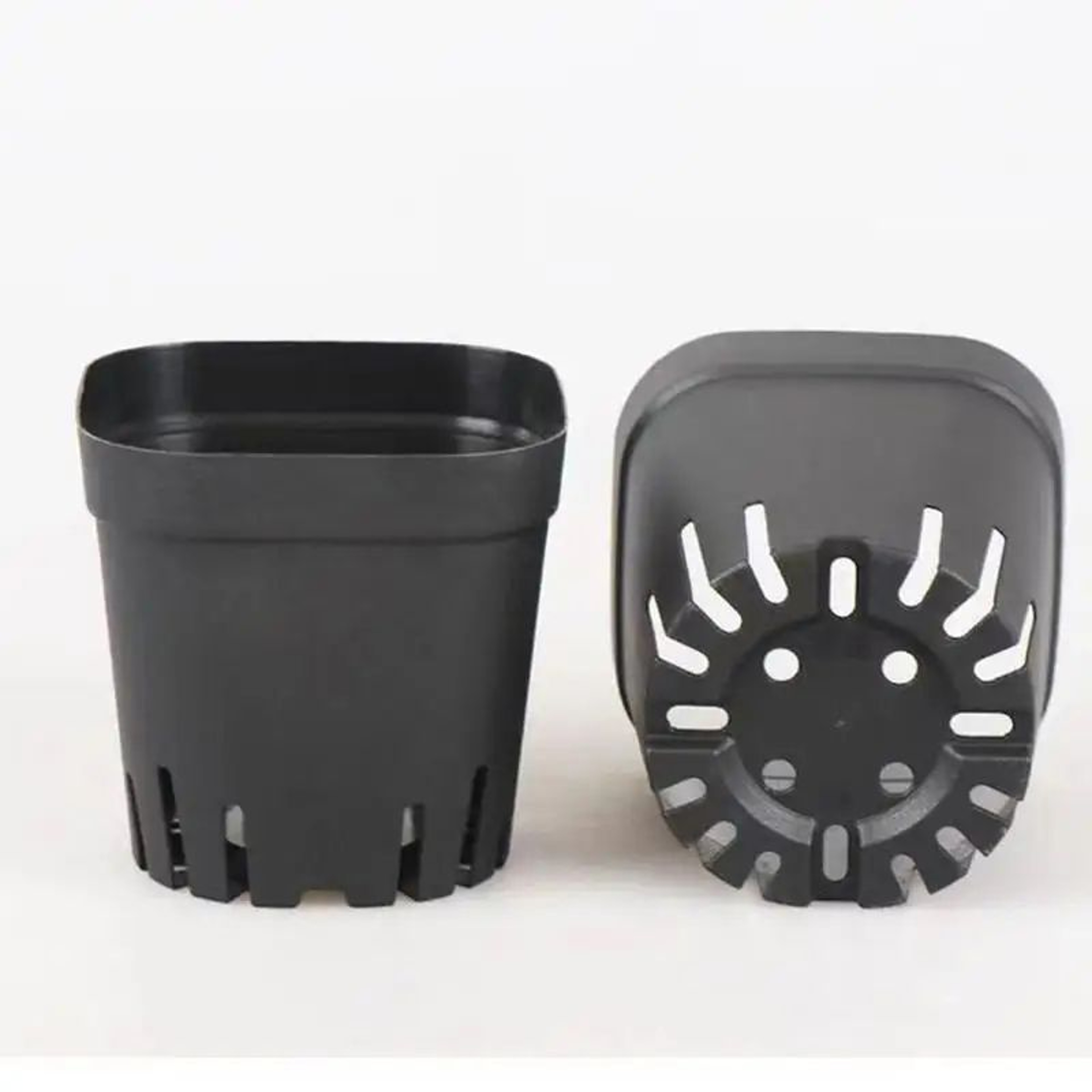 50 Piece Deep Square Seedling Pots 4