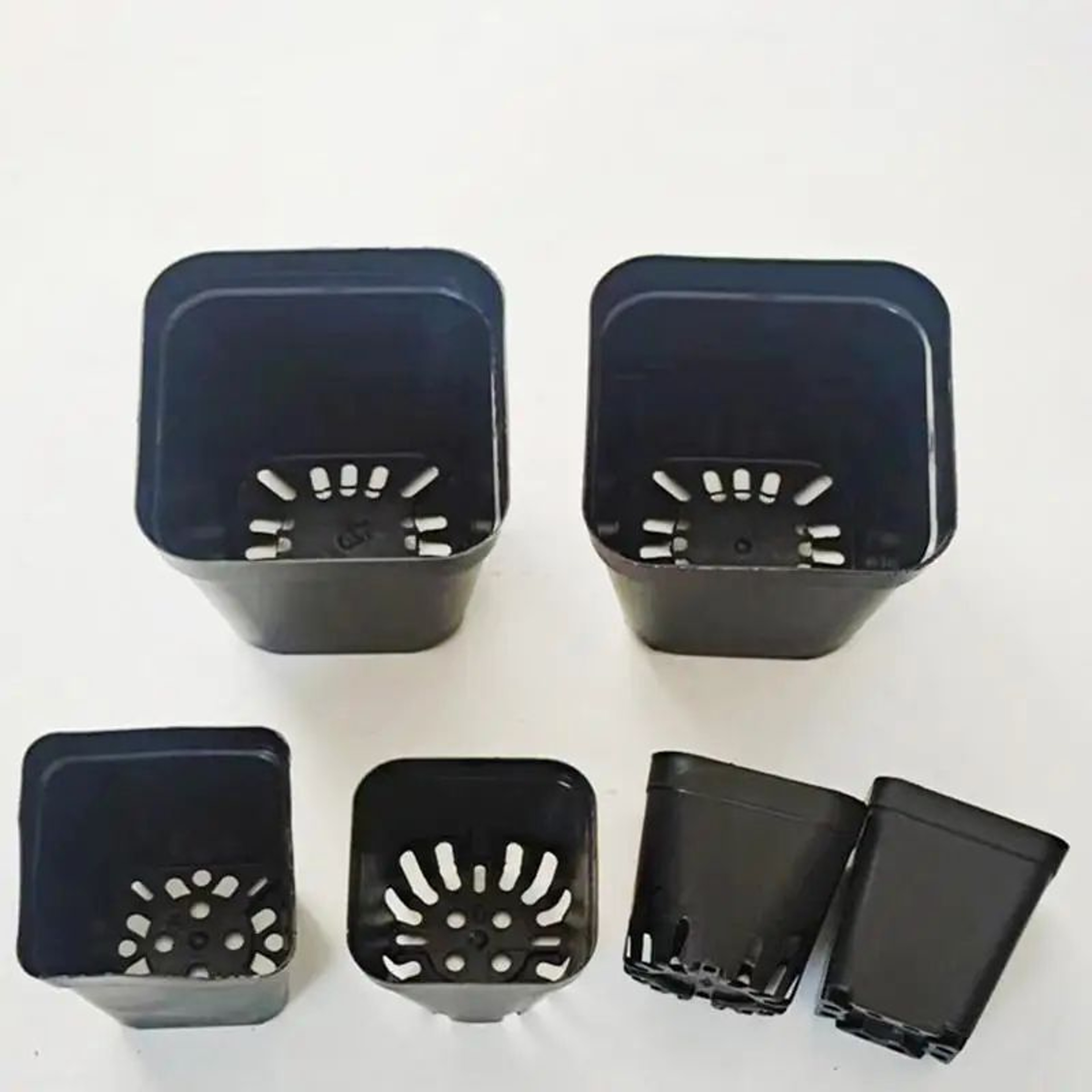 50 Piece Deep Square Seedling Pots 3
