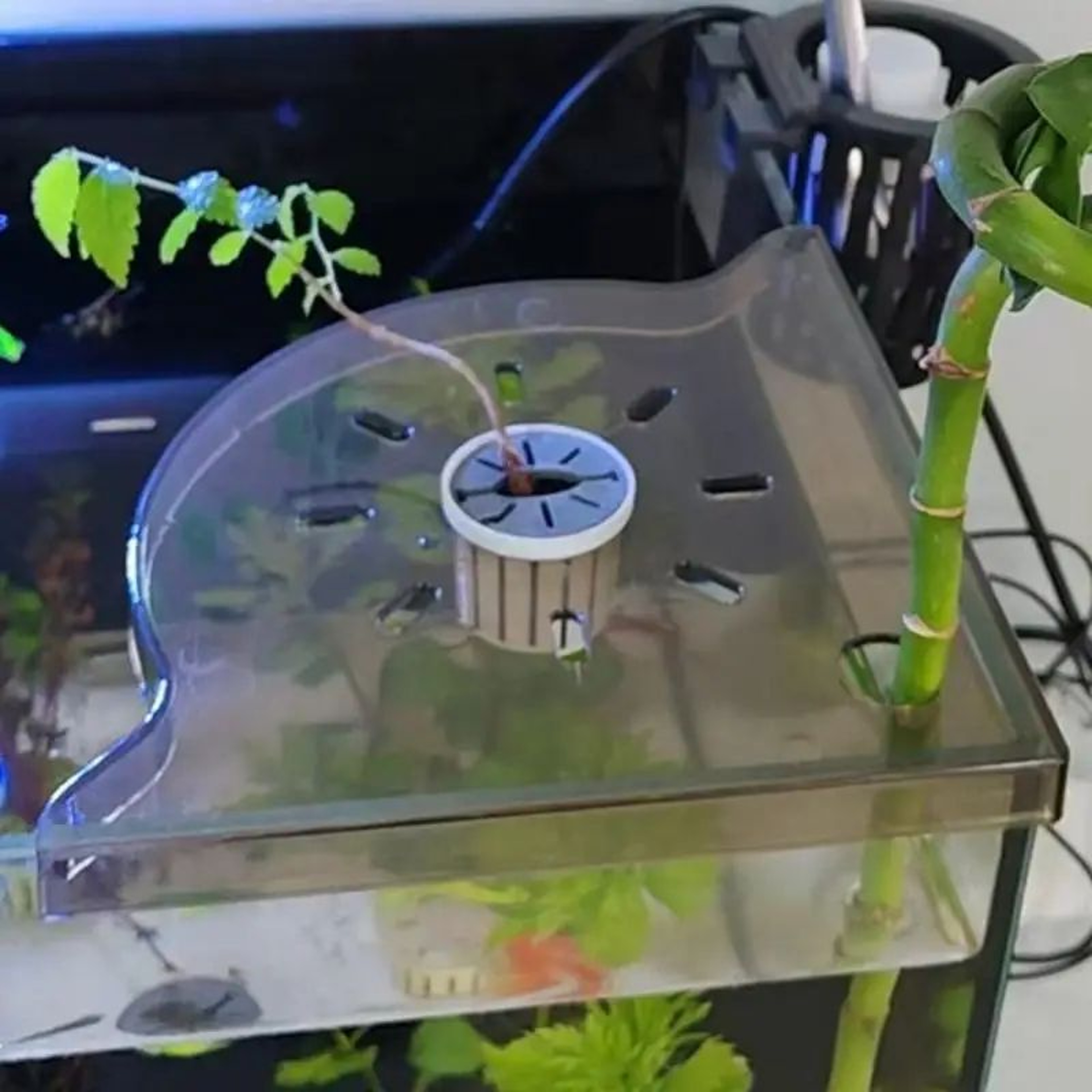 Acrylic Aquarium Corner Frag Shelf 3