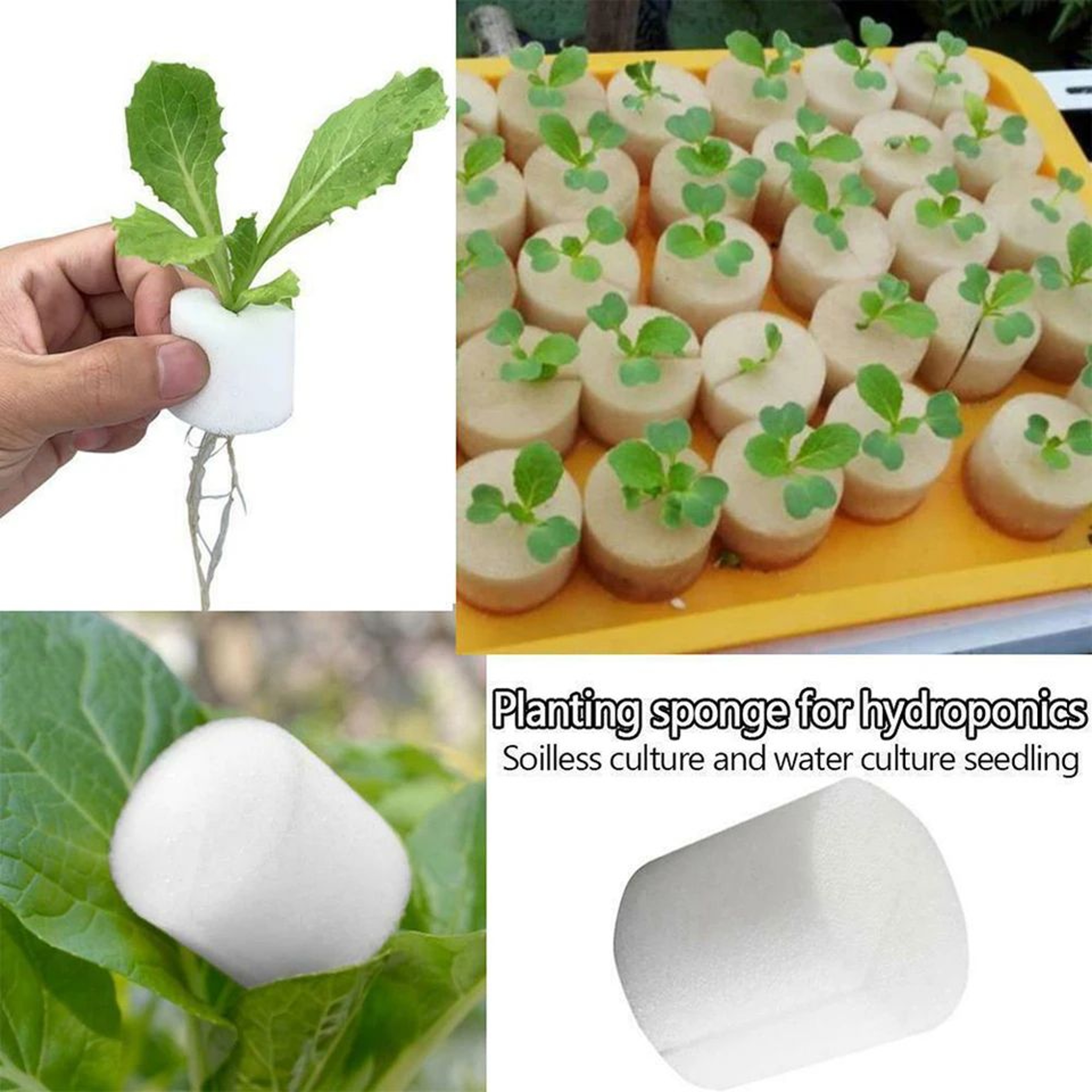 50 Piece Hydroponic Net Cup Starter Set 3