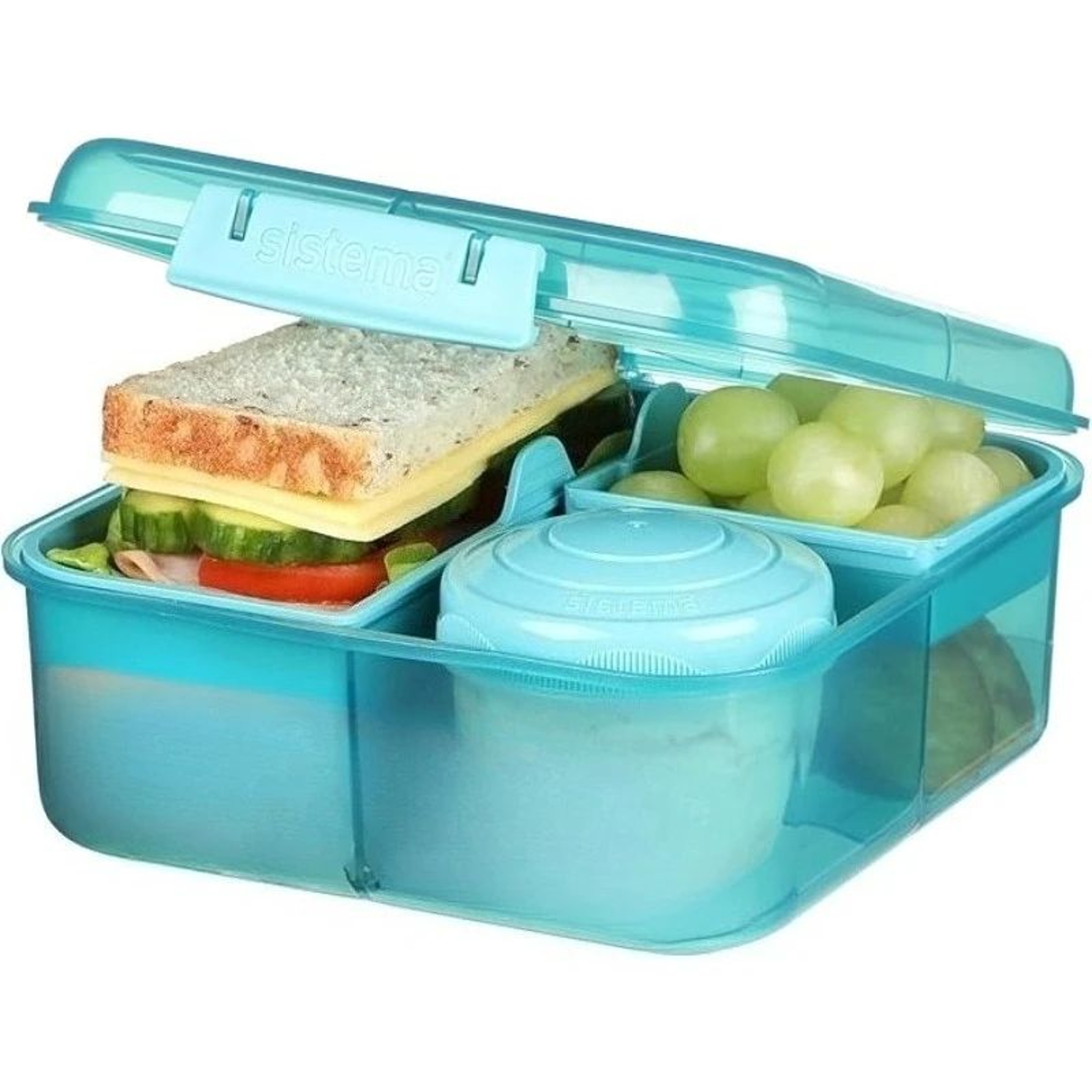 1600ml Double Compartment Leakproof Bento Lunch Box 0