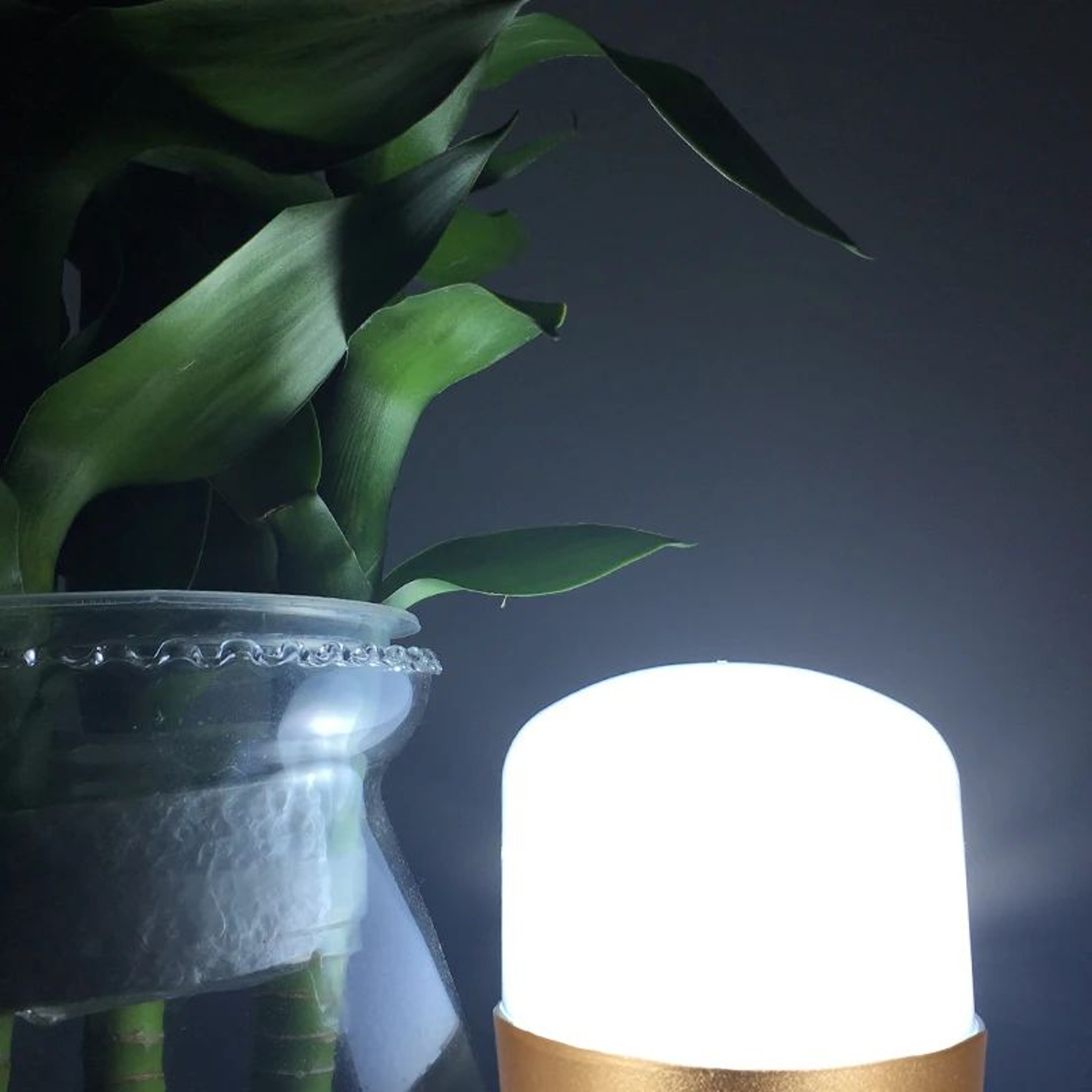 High Brightness E27 LED Light Bulb 3