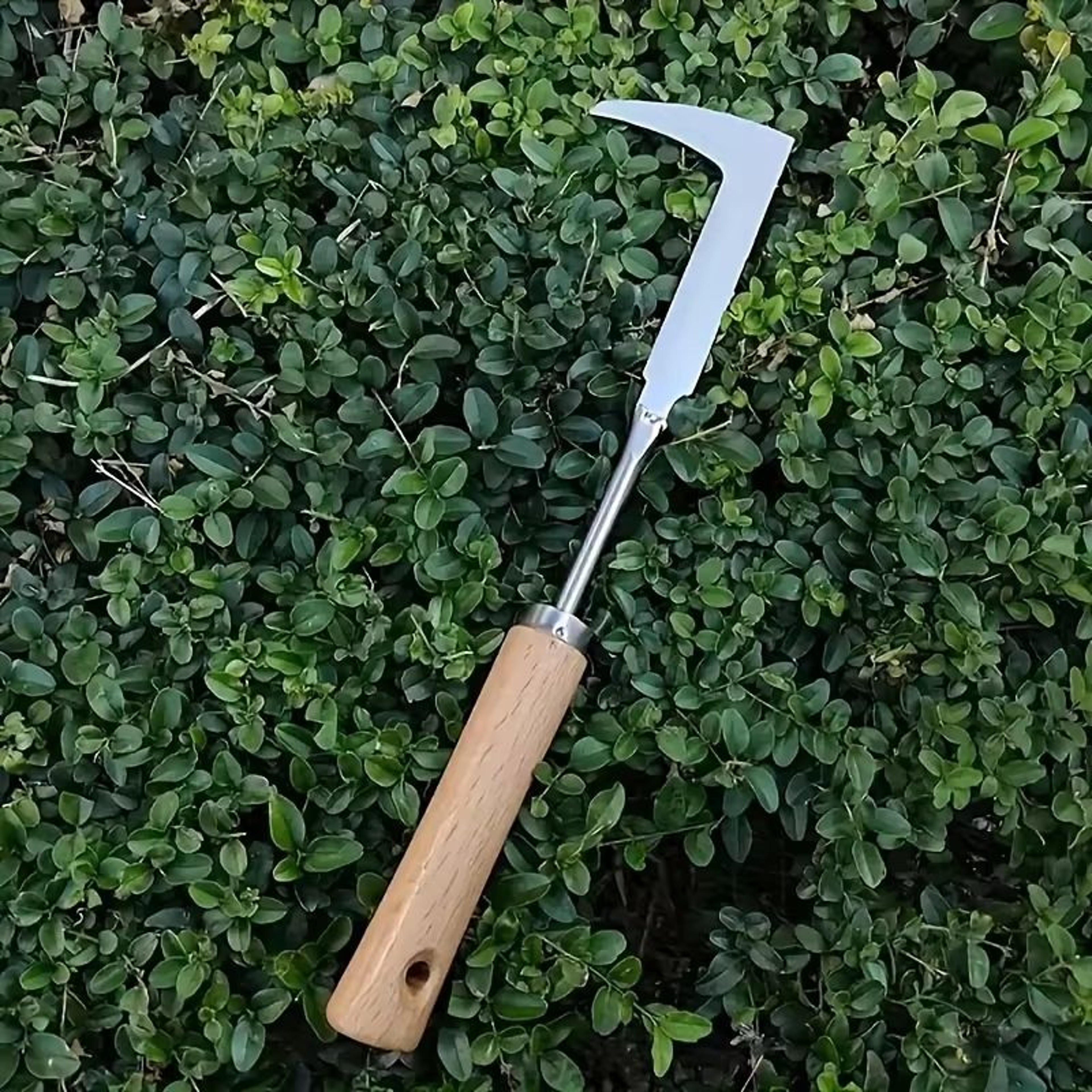Stainless Steel Weeding Tool  Precision Digger For Herbs Bonsai  Soil Loosening 0