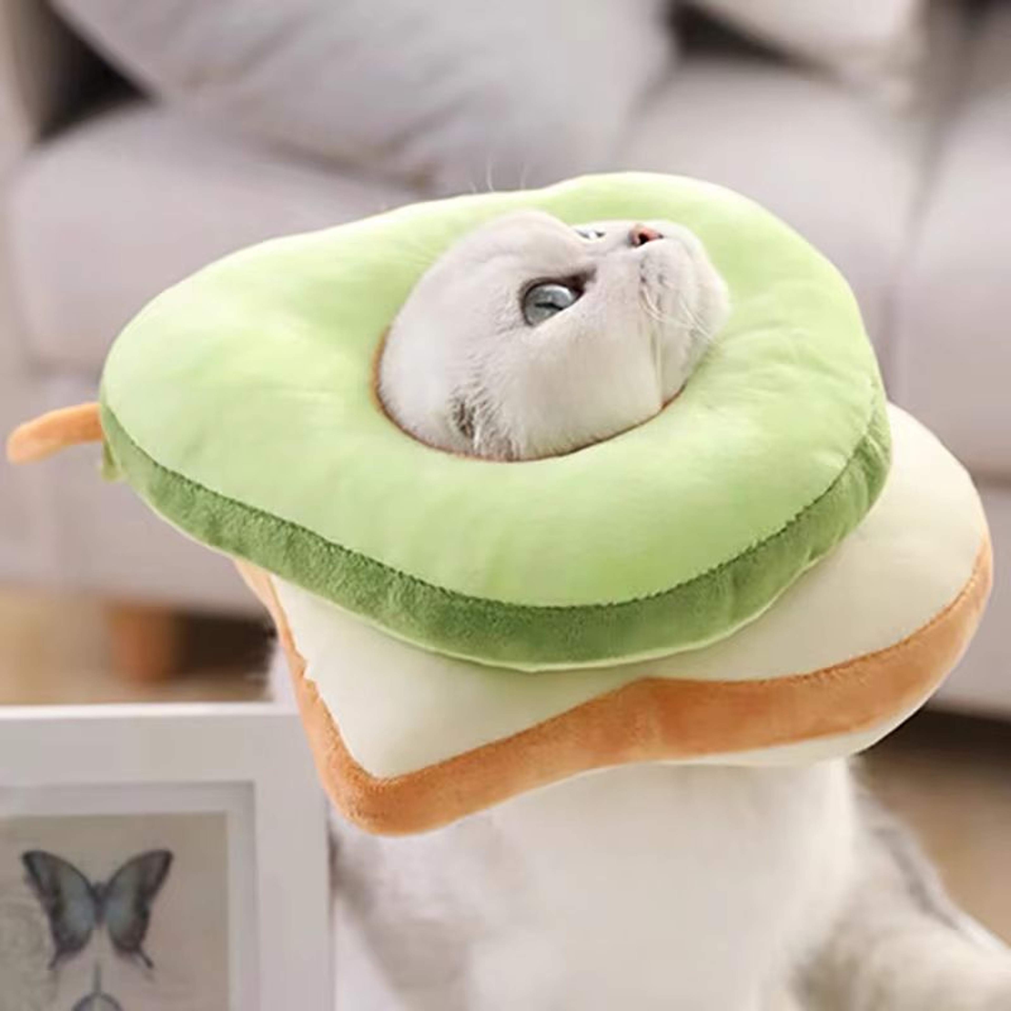 ComfortGuard Toast  Avocado Soft Cotton ECollar  Adjustable WoundProtection Shield For Dogs  Cats 2