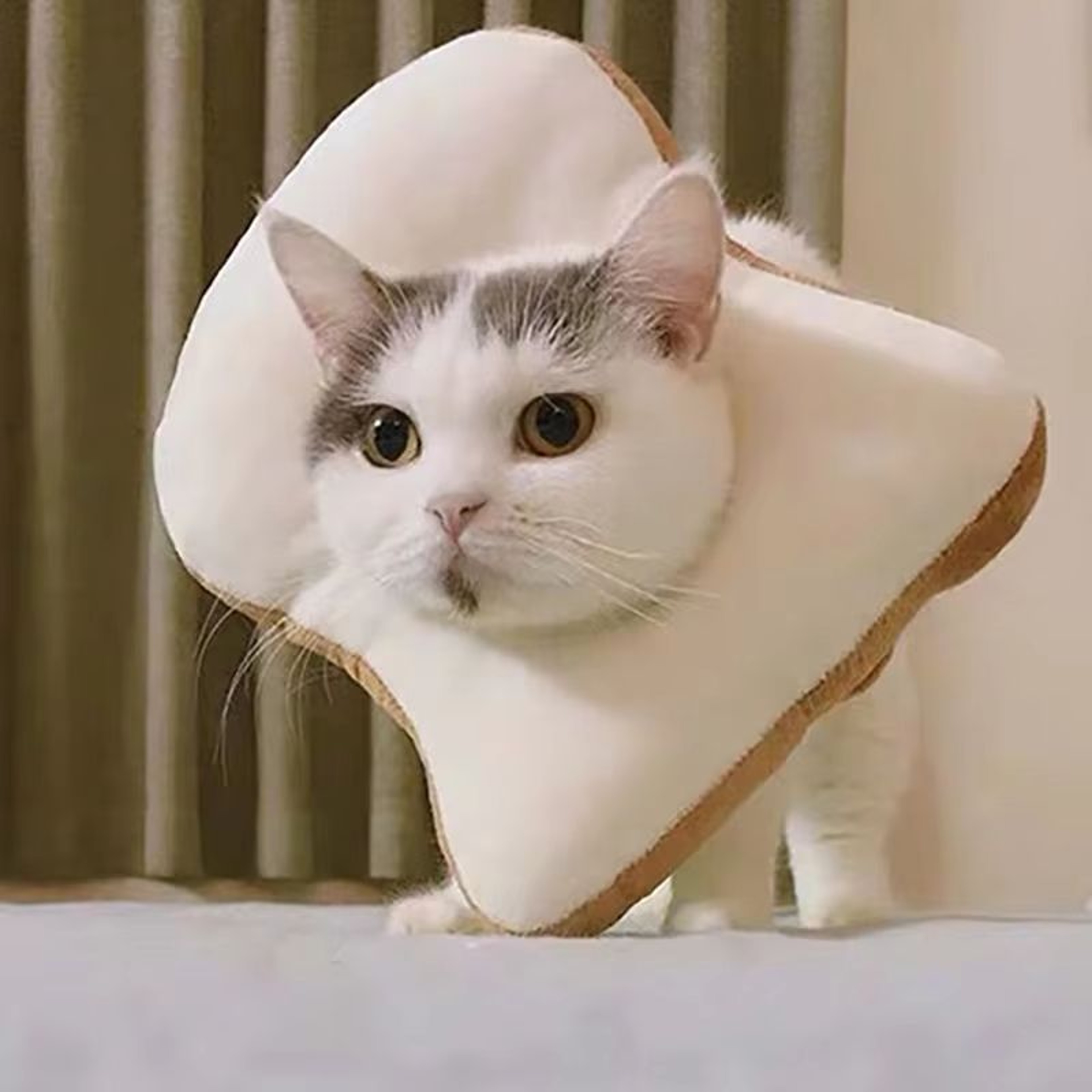 ComfortGuard Toast  Avocado Soft Cotton ECollar  Adjustable WoundProtection Shield For Dogs  Cats 4