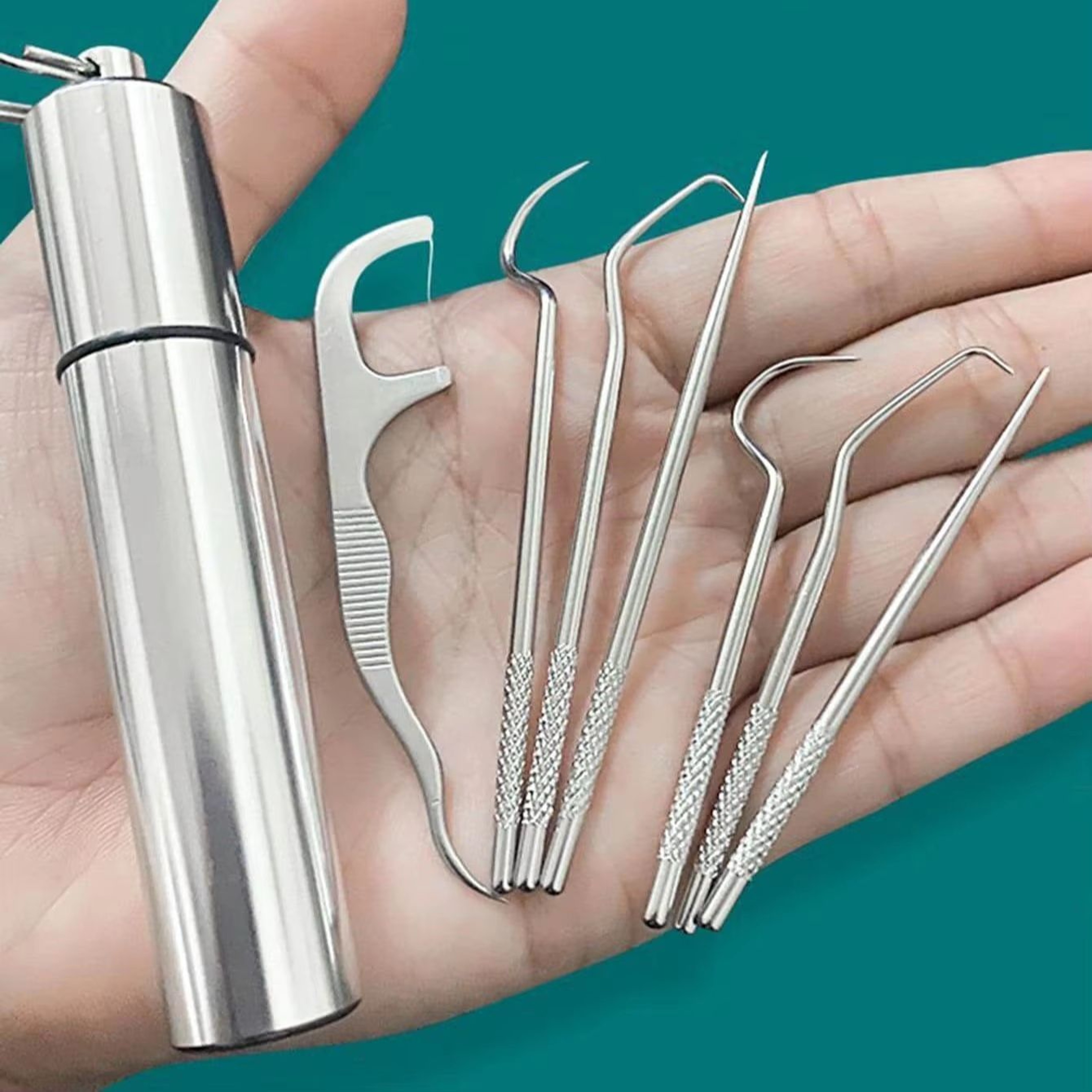 CleanCarry Stainless Steel Toothpick  Flossing Travel Set 0
