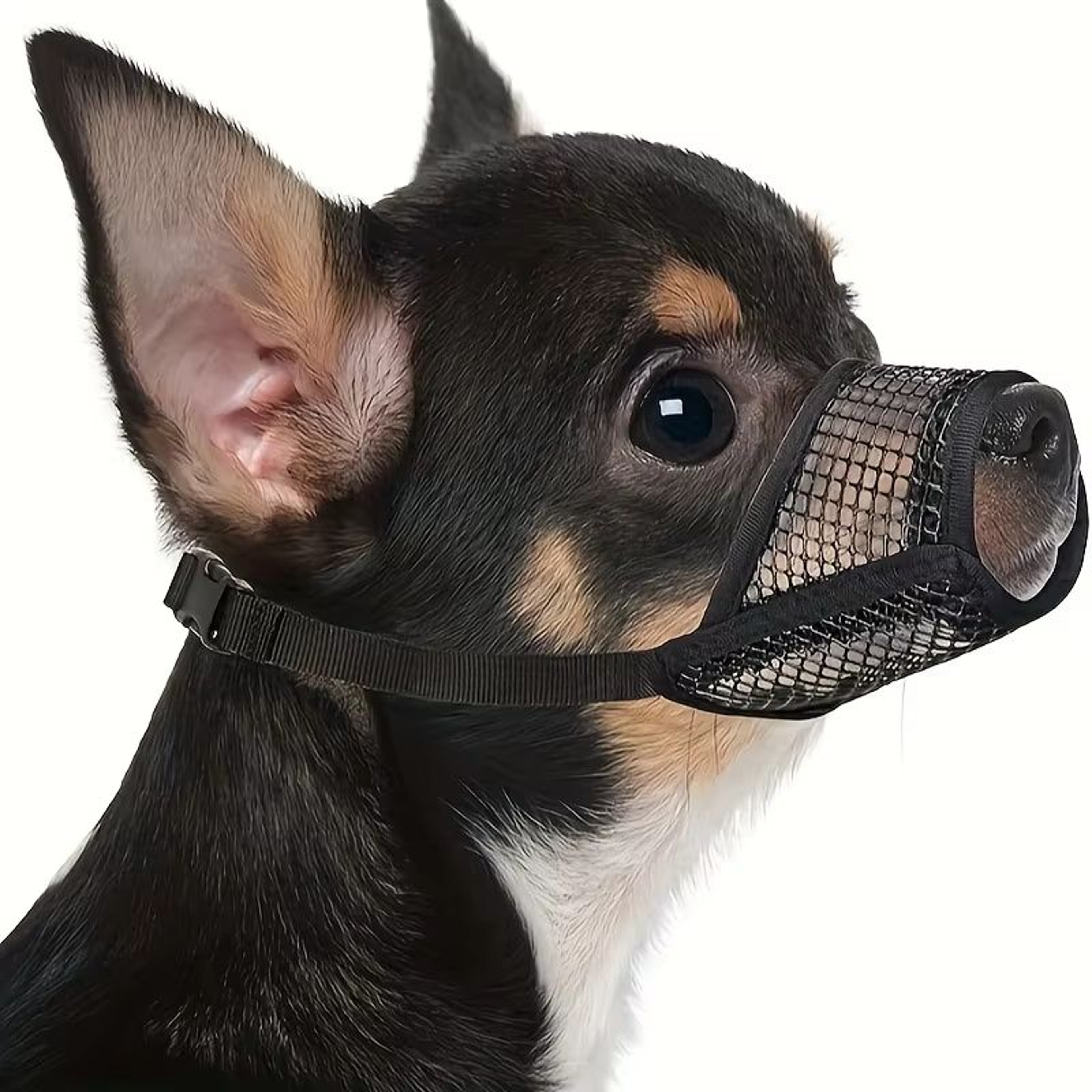 BrachyGuard Soft Mesh Muzzle For ShortSnout  SmallMedium Dogs 6