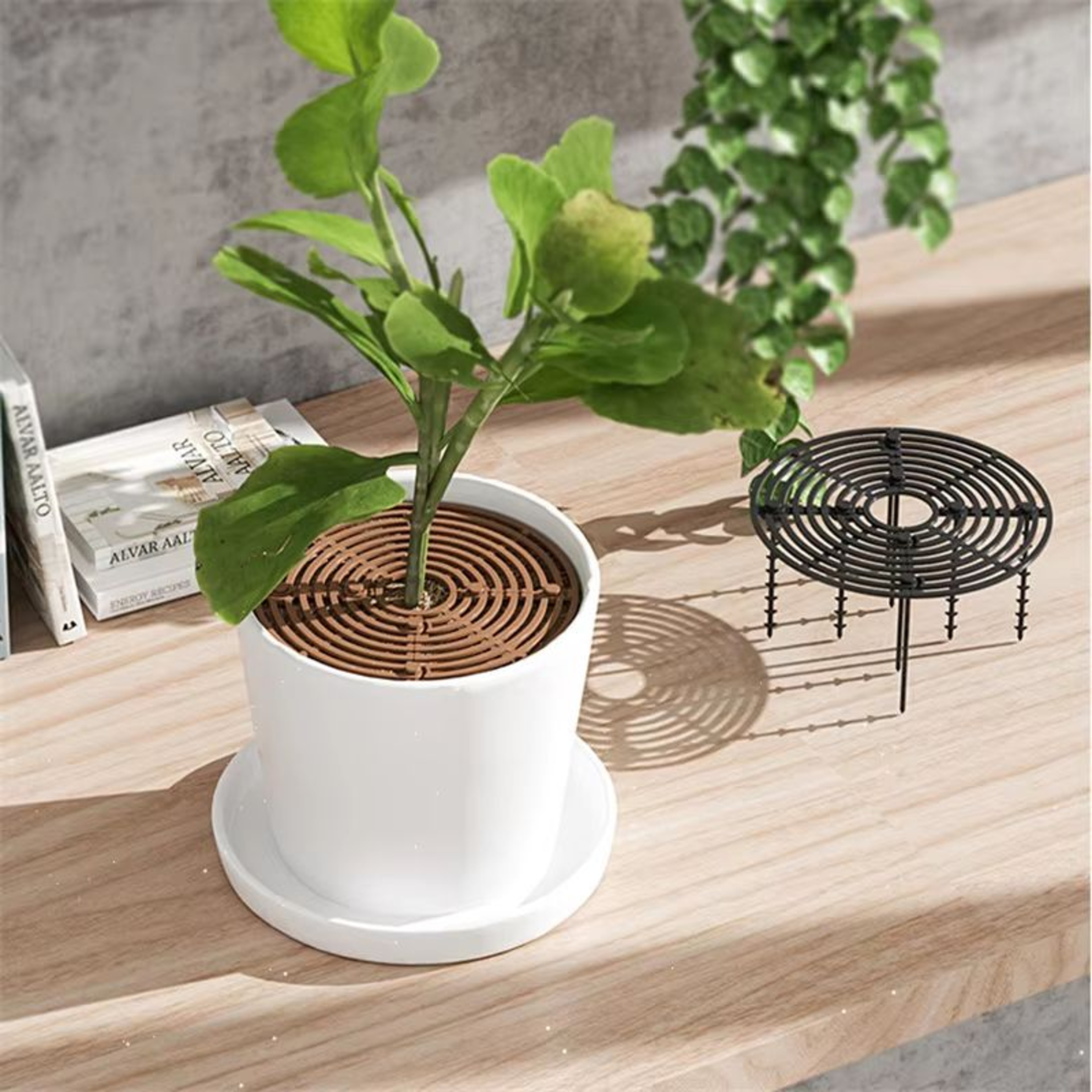 CatProof Plant Pot Soil Guard With Fixing Nails 1