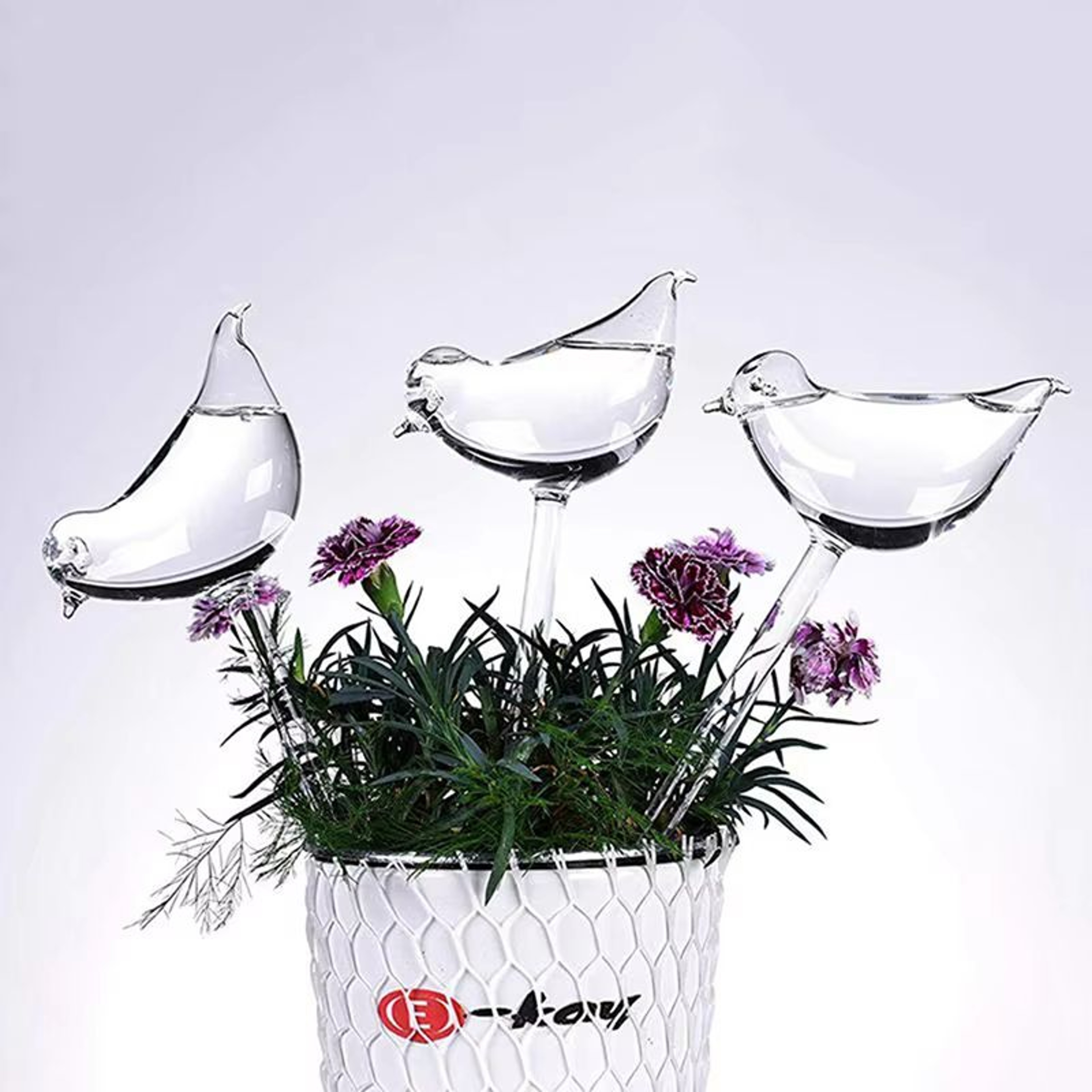 BirdShaped Self Watering Globes HandBlown Clear Glass Aqua Bulbs For Indoor And Outdoor Plants 0