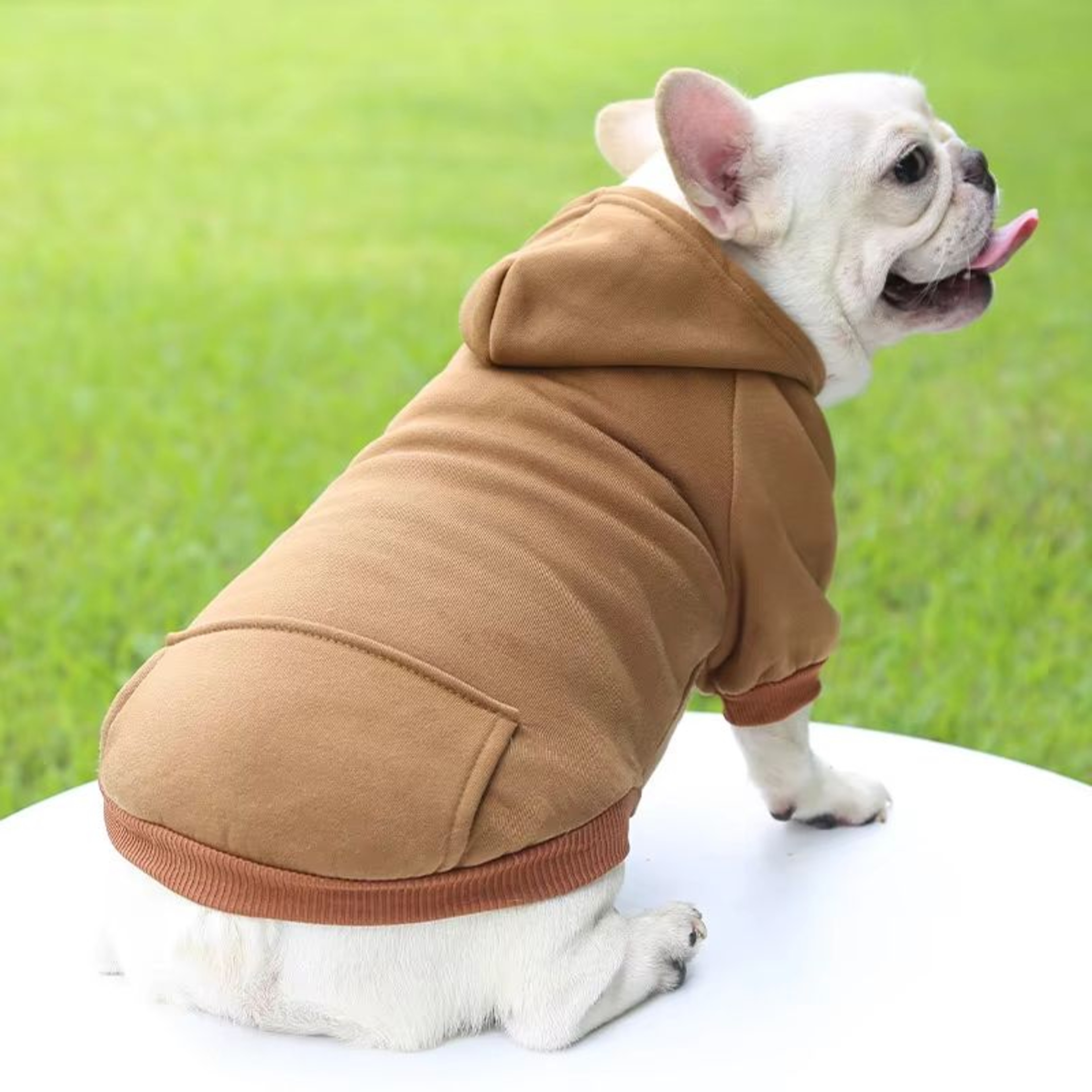 Fashion Dog Hoodie For Autumn And Winter  Thick Warm Pet Clothes For Small Dogs 1