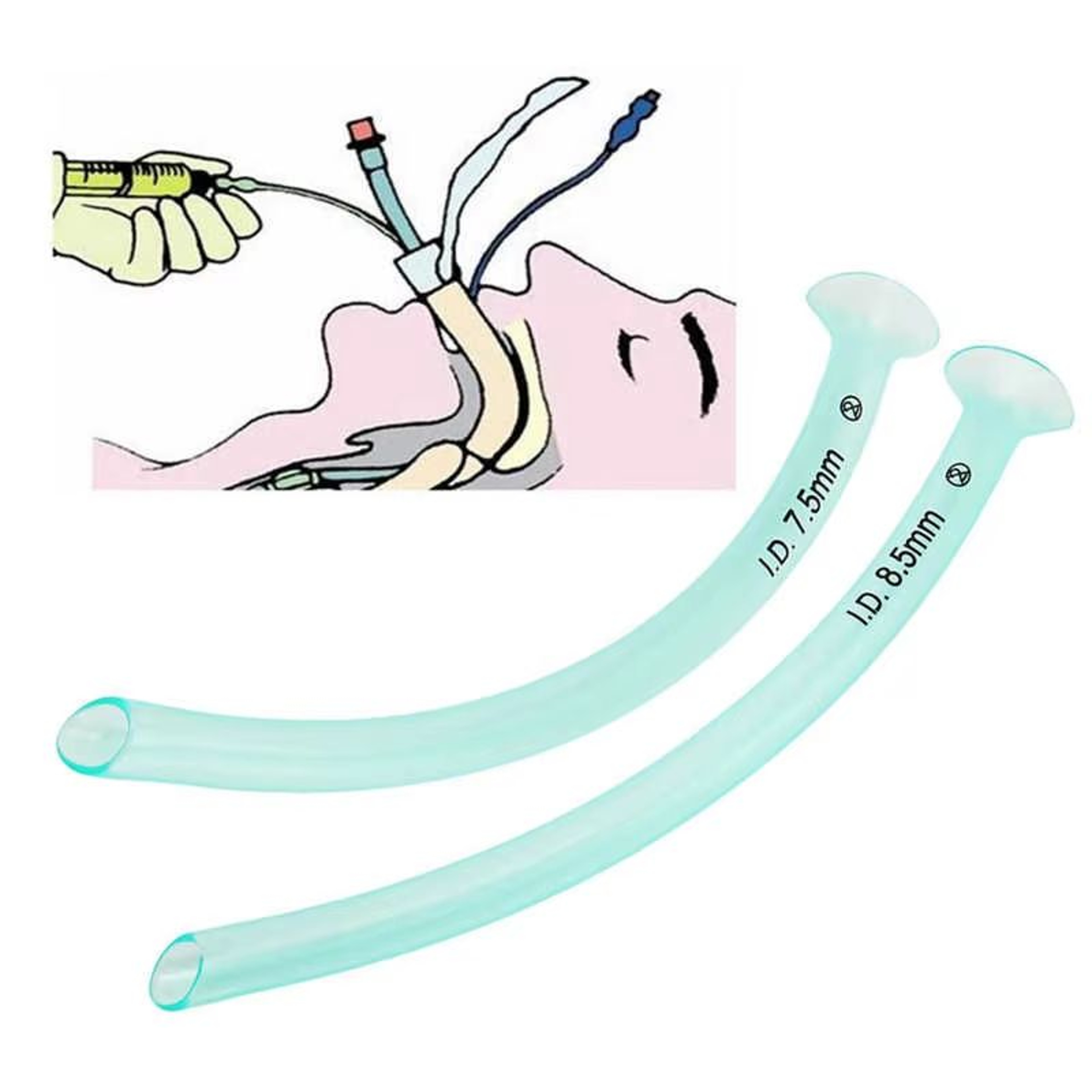 Disposable Transparent Nasopharyngeal Airway Tube  Emergency Airway Support Green OralNasal Tube 0