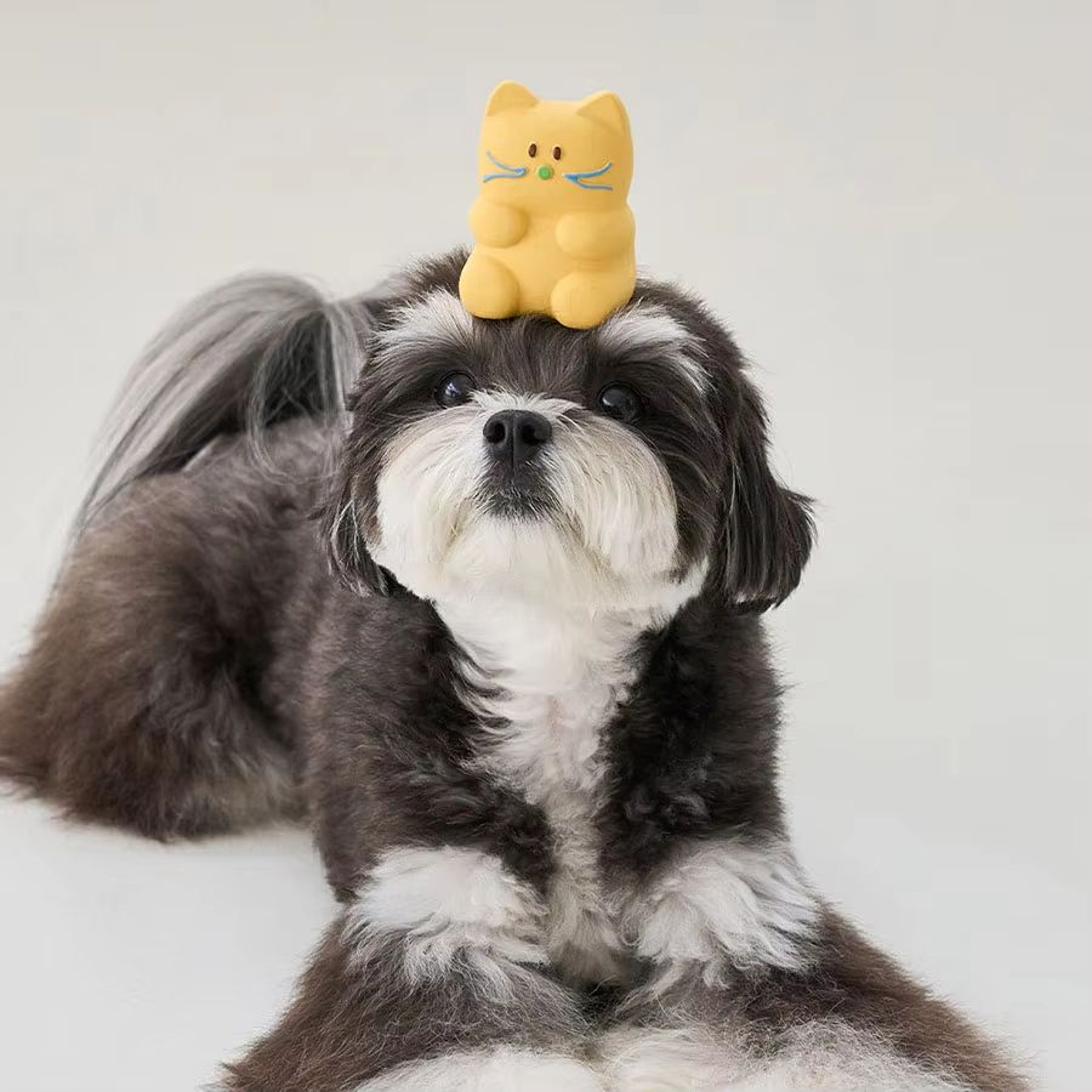 Squeaky Latex Dog Toys Set  Interactive Beeping Playtime Companions For Puppies And Dogs 1