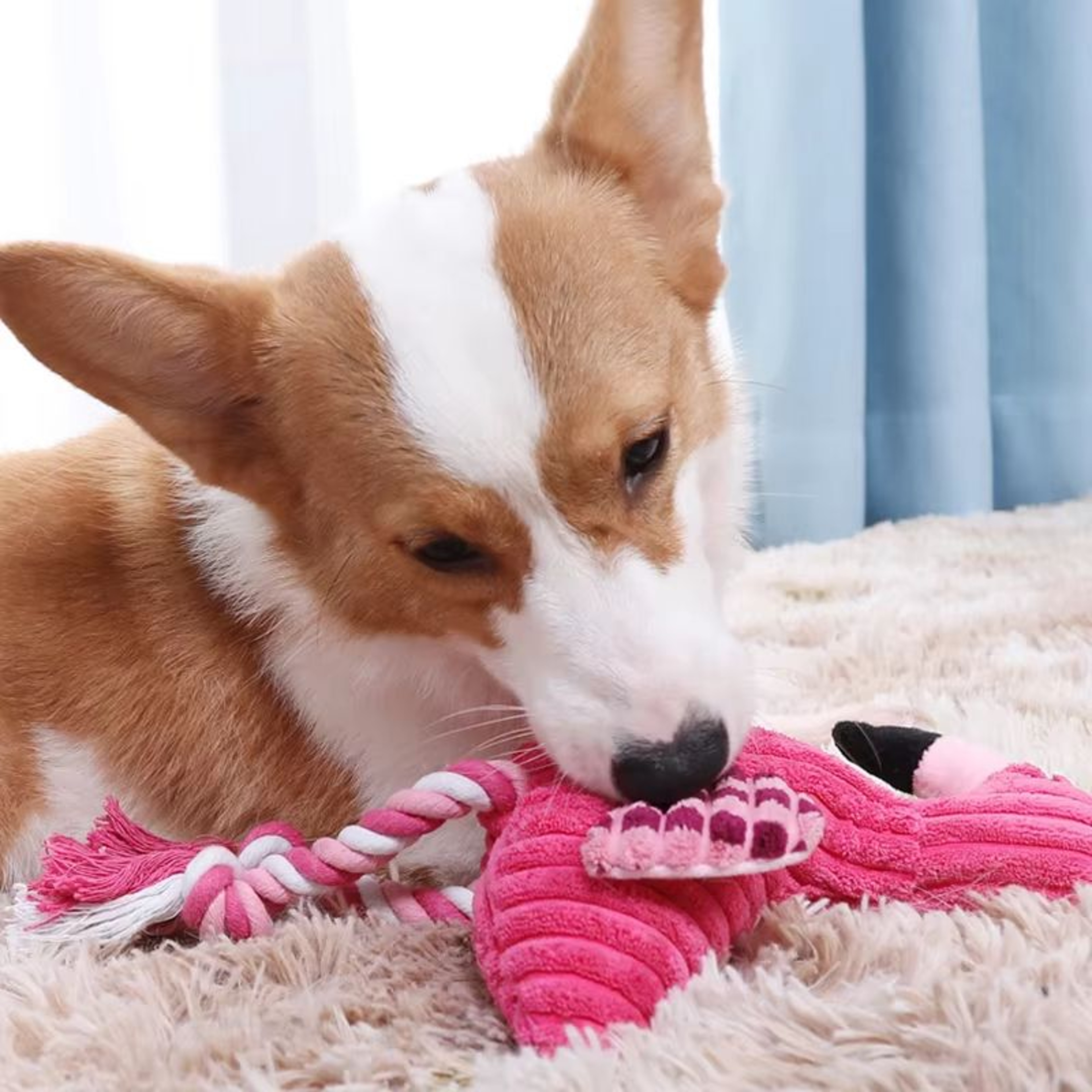 Animal Shape Corduroy Plush Dog Toy Squeaky BiteResistant Chew Toy For Puppies And Dogs 2