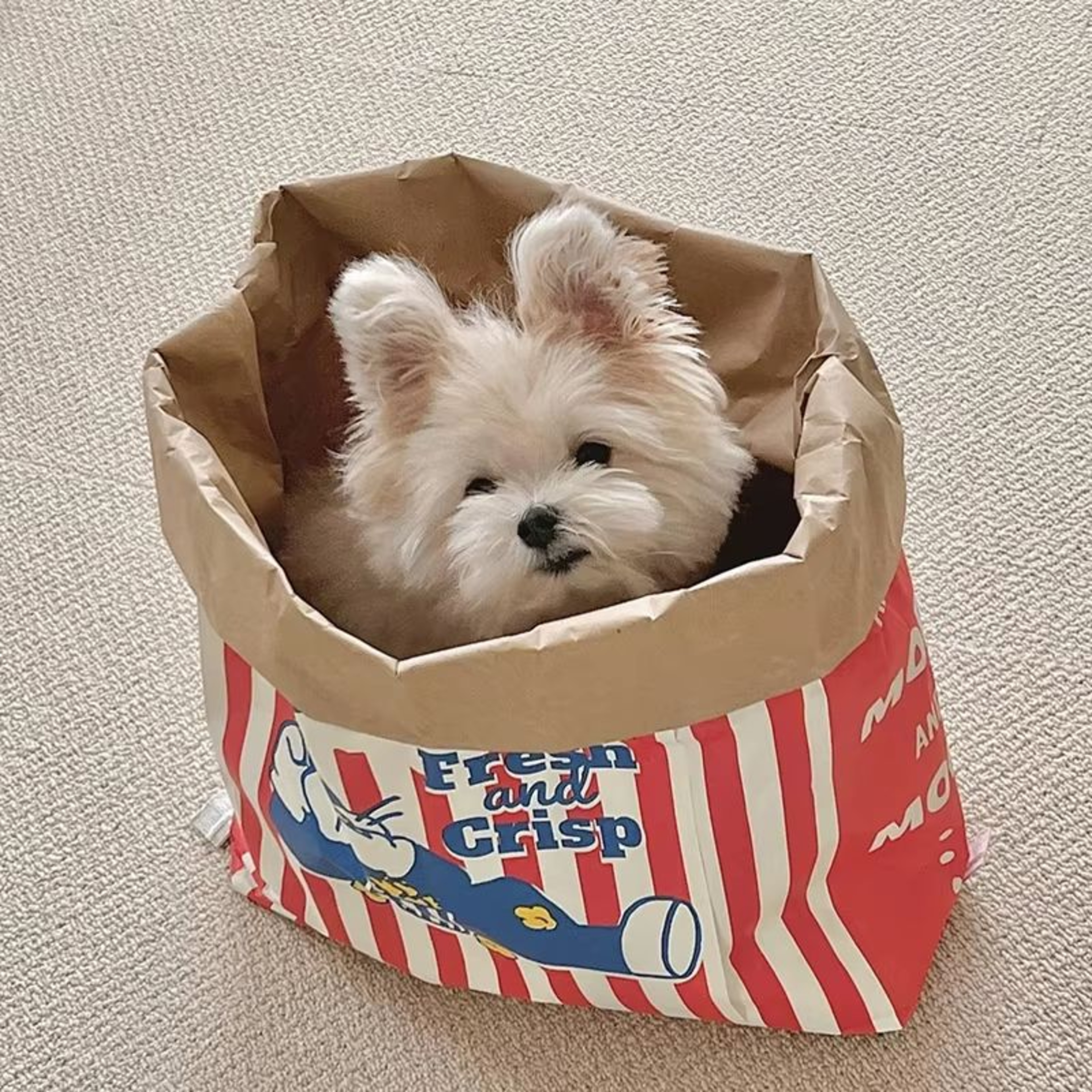 Creative Cute Hidden Food Pet Chew Toy  Popcorn Kraft Paper Puzzle Sound Toy For Cats  Dogs 0