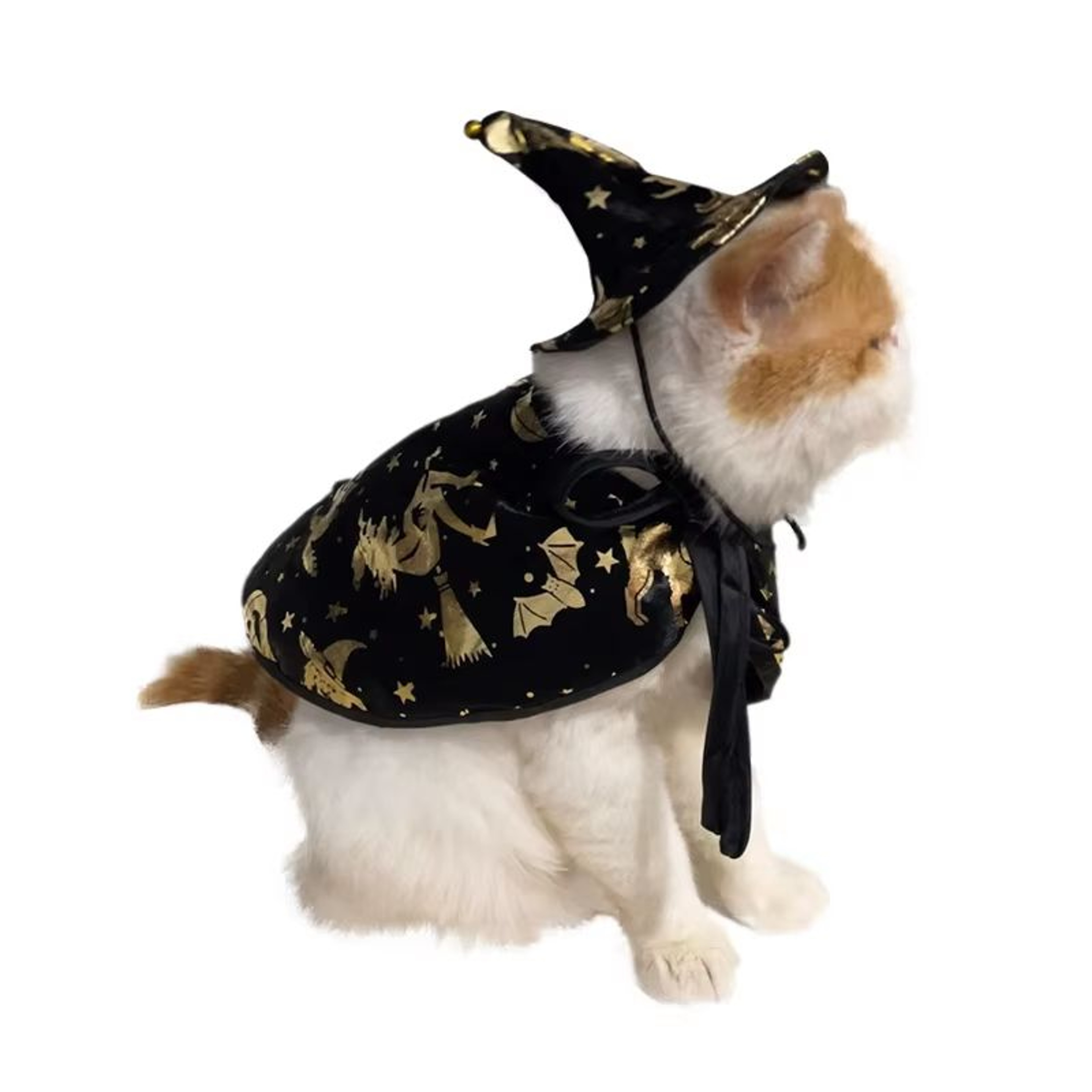 Pet Halloween Costume Cape And Hat For Dogs And Cats 1