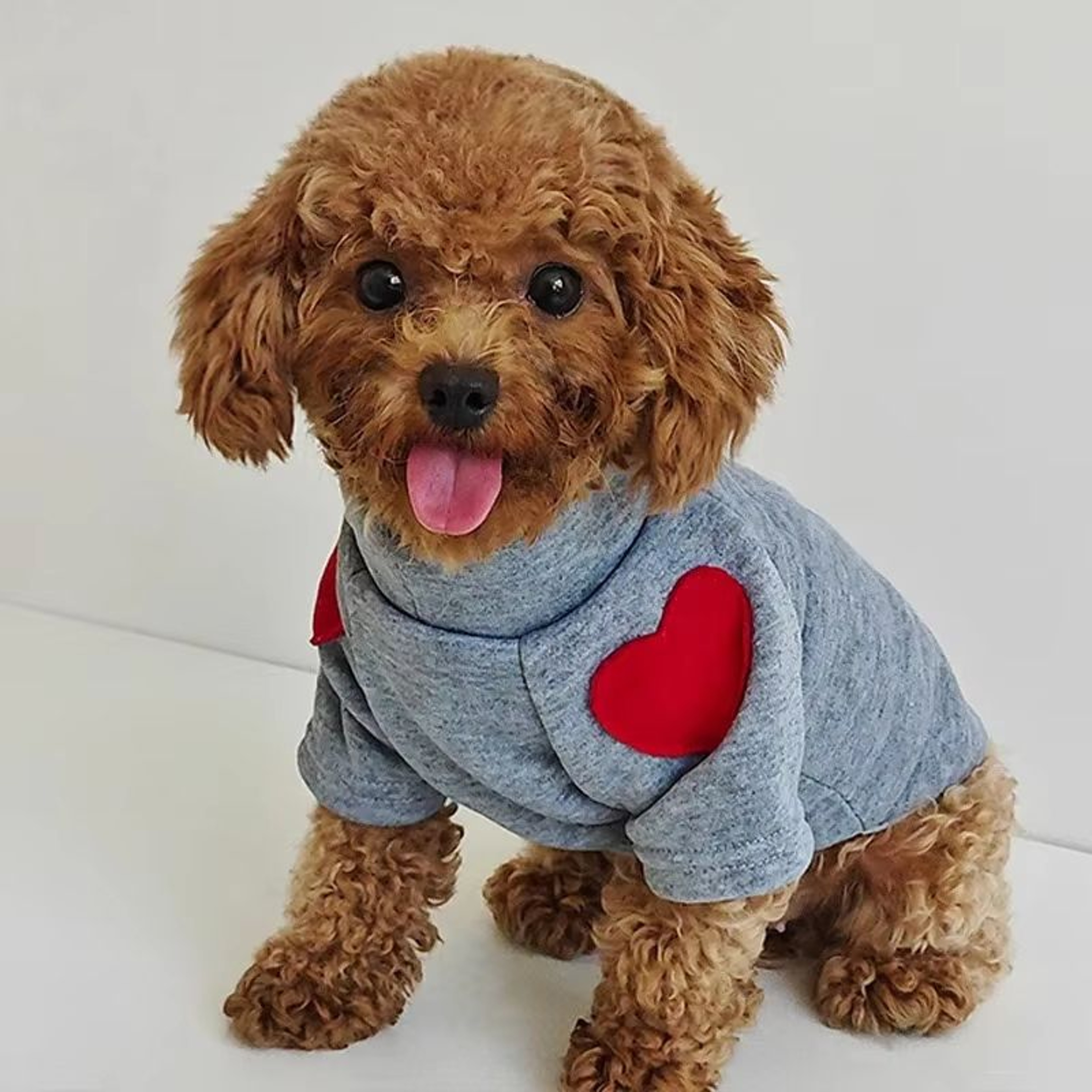 Winter Warm Pet Sweater Hoodie Thickened Dog And Cat Clothes For Small To Medium Pets 3
