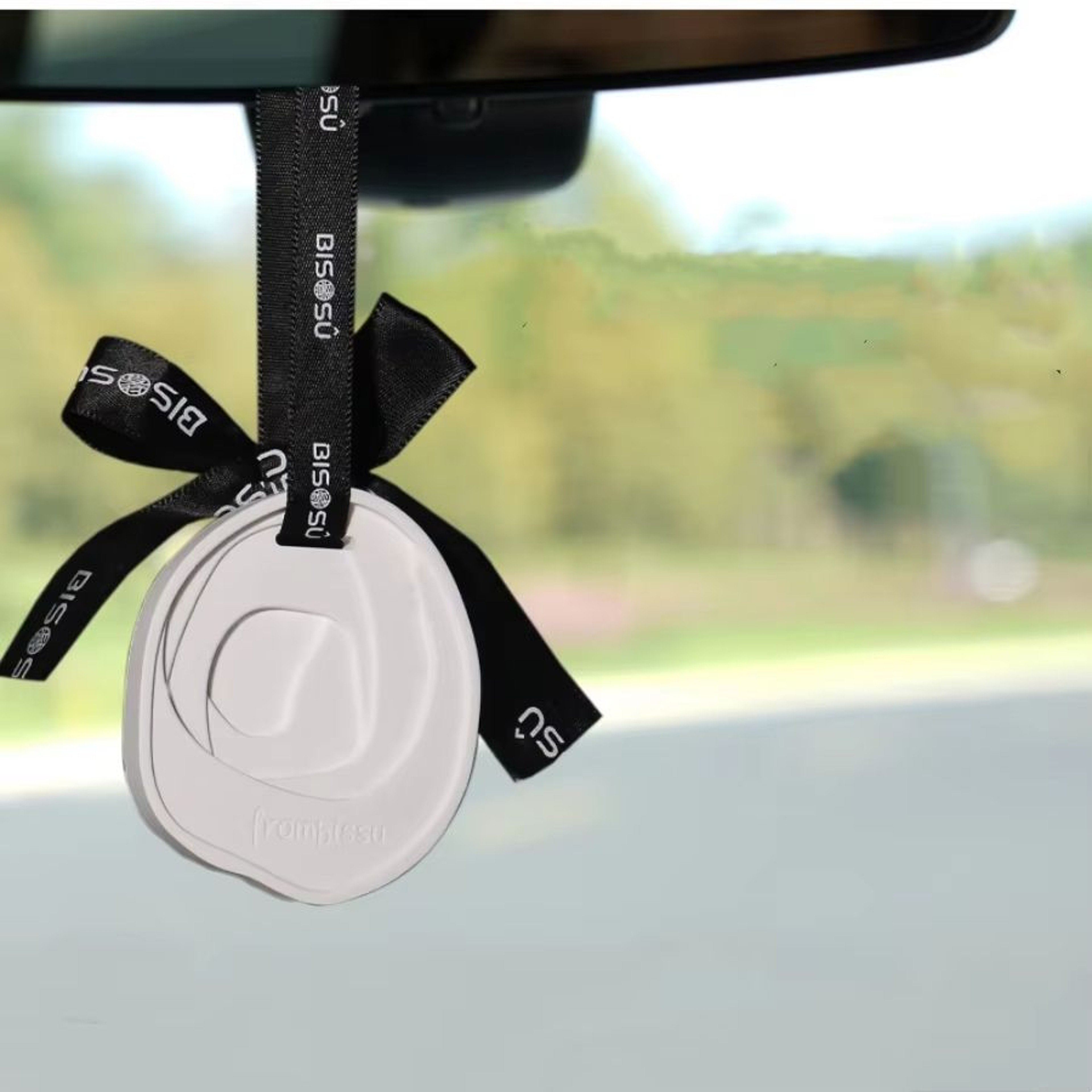 Aromatherapy Stone Gypsum Sheet Decorative Ribbon Pendant For Home Wardrobe And Car 3