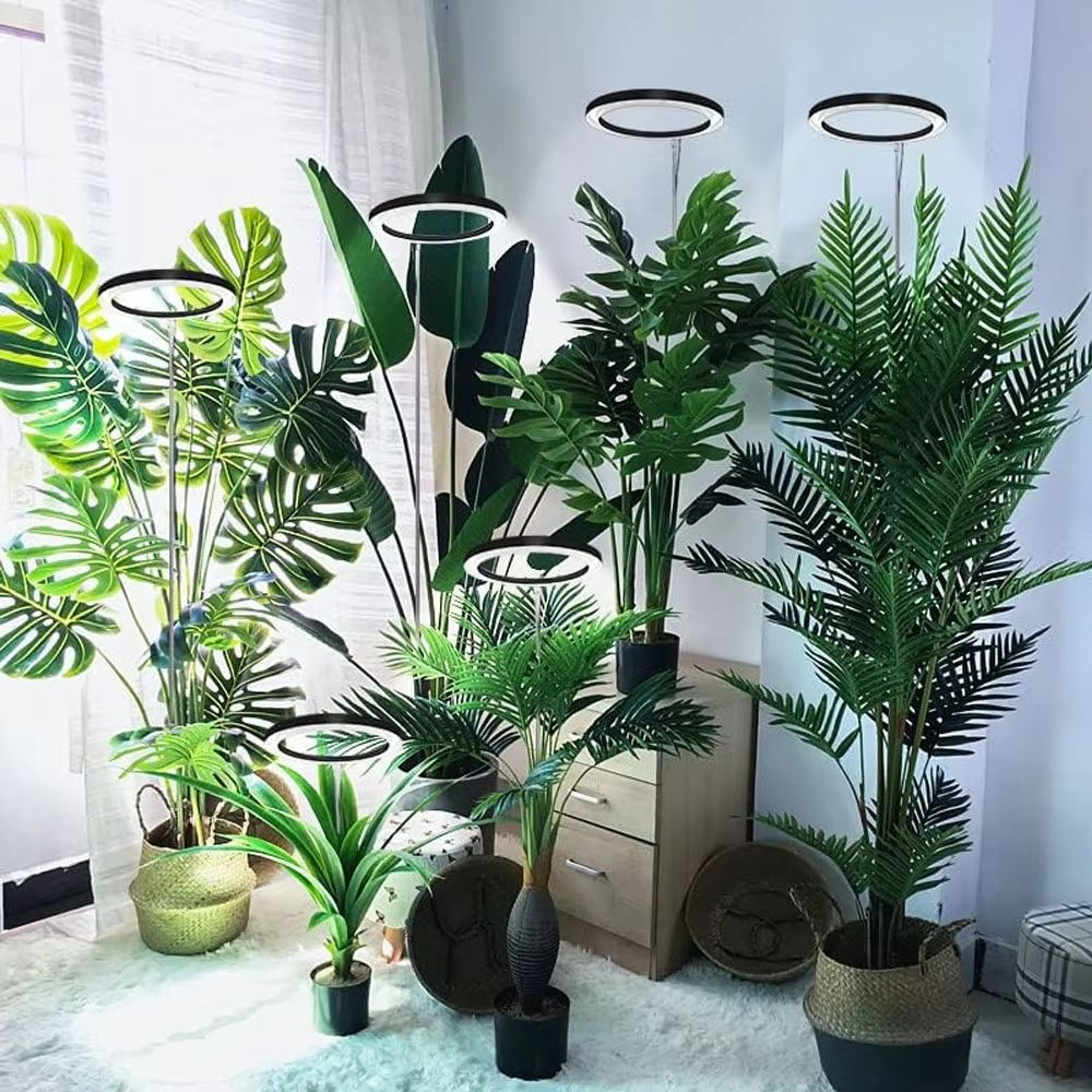 165cm 65in Adjustable Full Spectrum LED Ring Grow Light For Indoor Plants USB Powered Plant Light 2