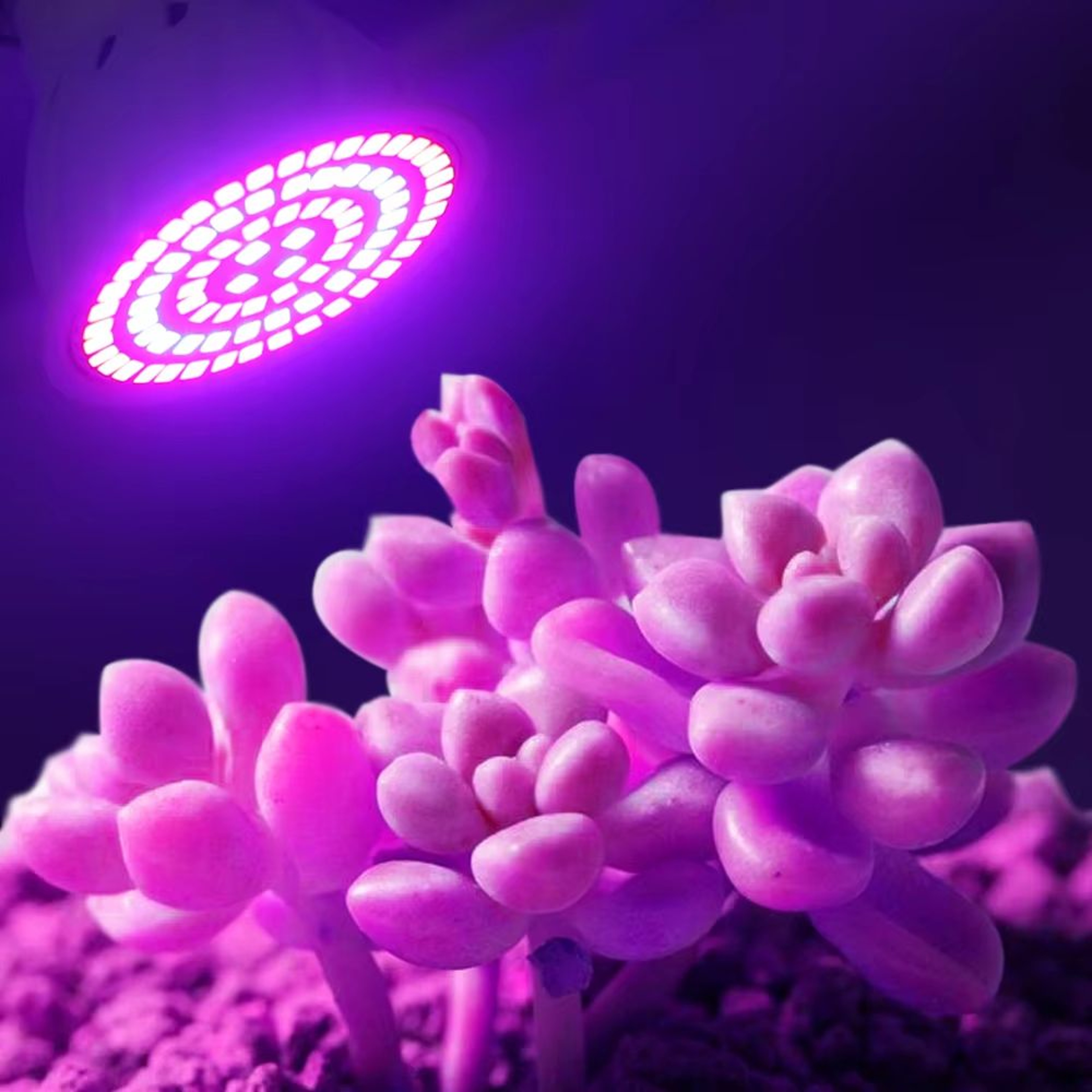 FullSpectrum LED Grow Bulb E27 With 6080 LEDs For Indoor Plants And Greenhouse 3