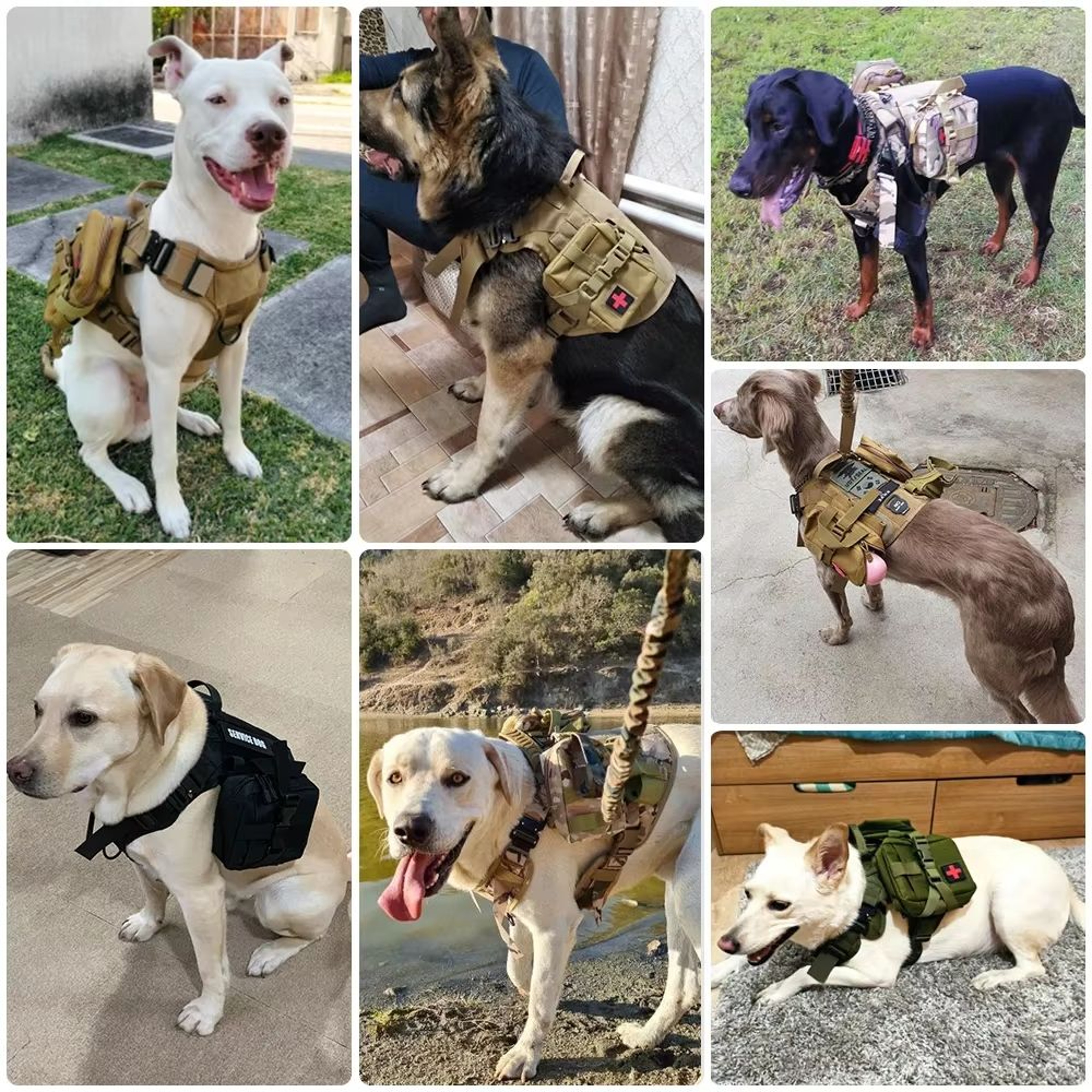 Tactical Dog Harness With MOLLE Pouch And Leash For Large Dogs 4
