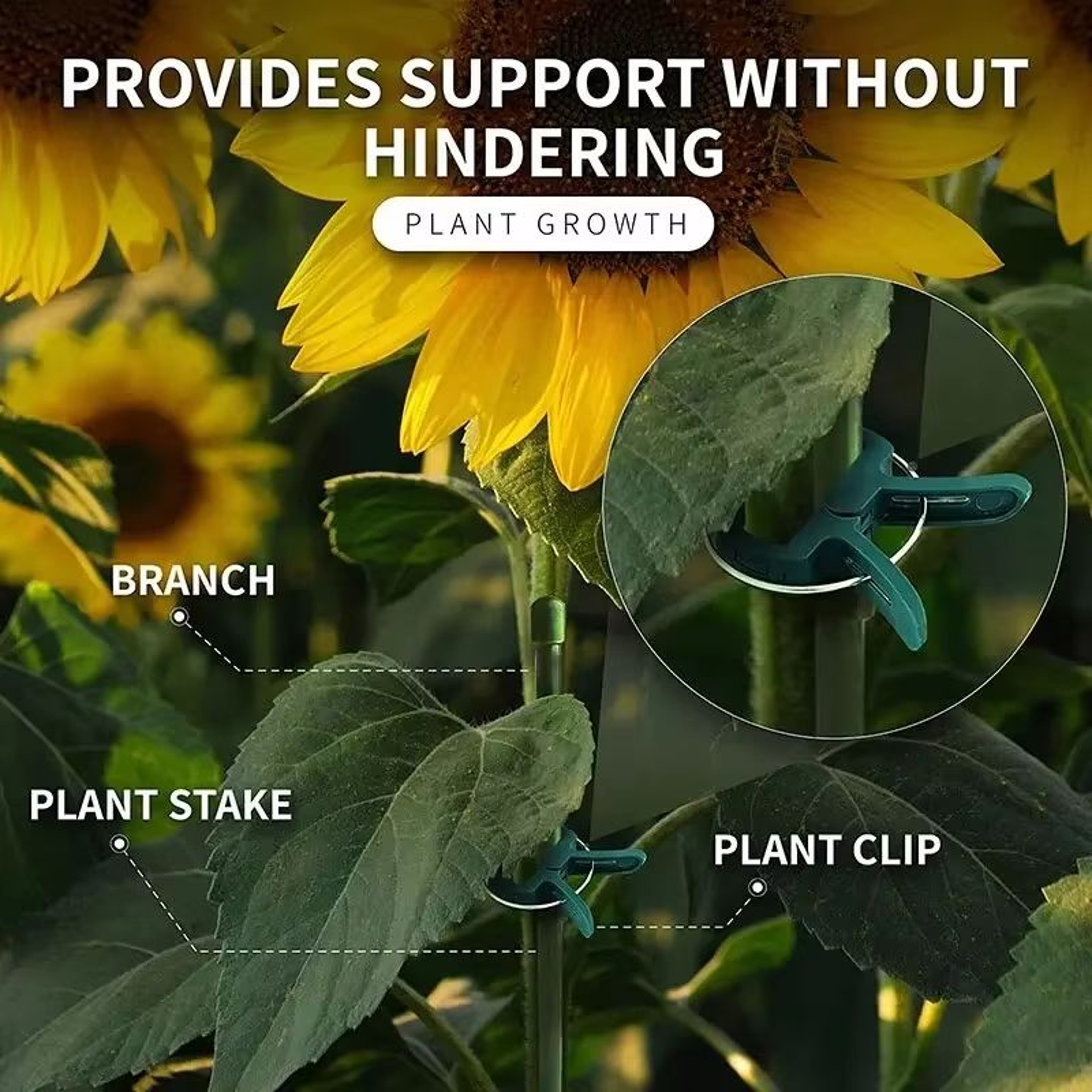 Reusable Plant Support Clips For Vines And Tomatoes Greenhouse Bracket Garden Trellis Clips 4