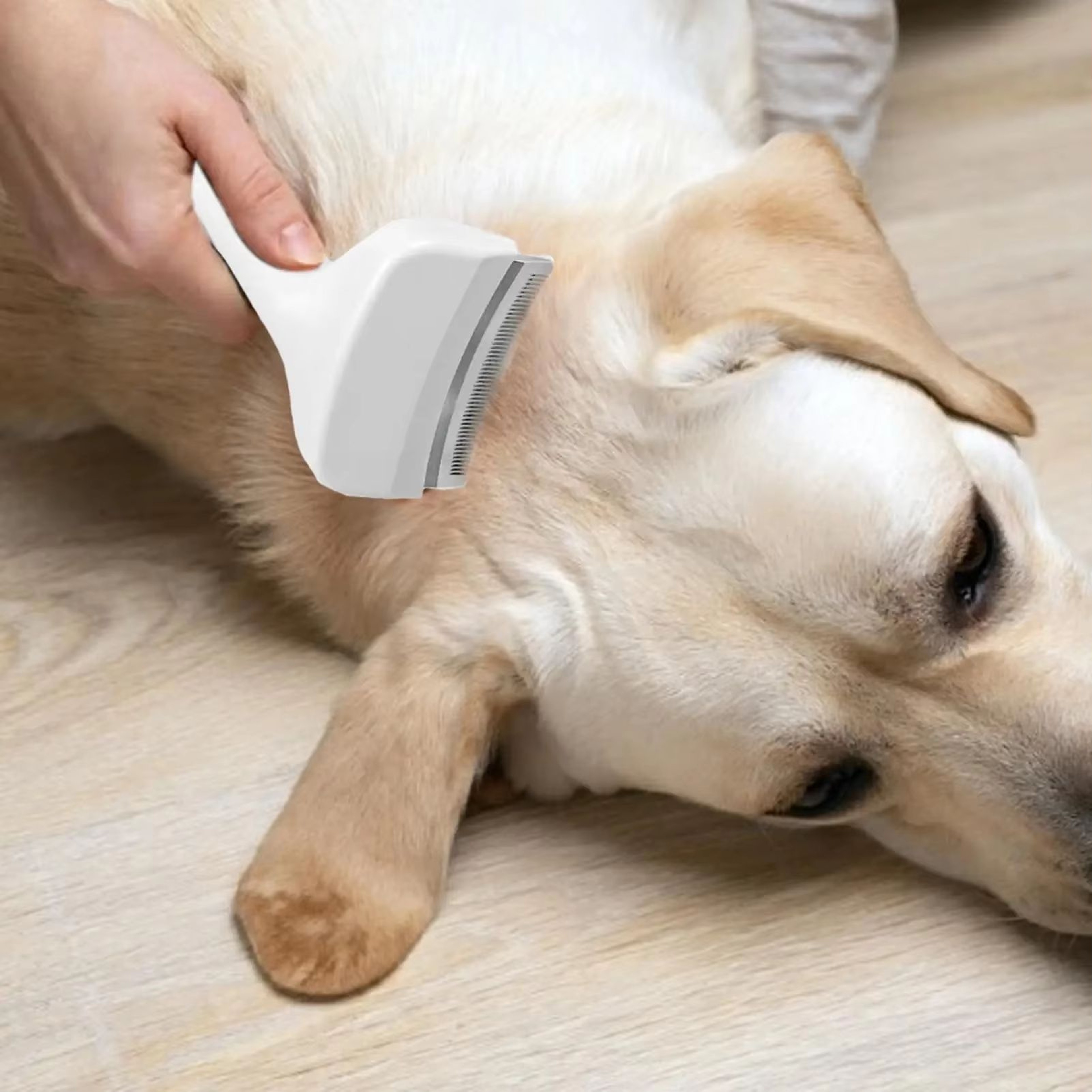 Slicker Undercoat Deshedding Brush And Dematting Tool For Dogs And Cats 3