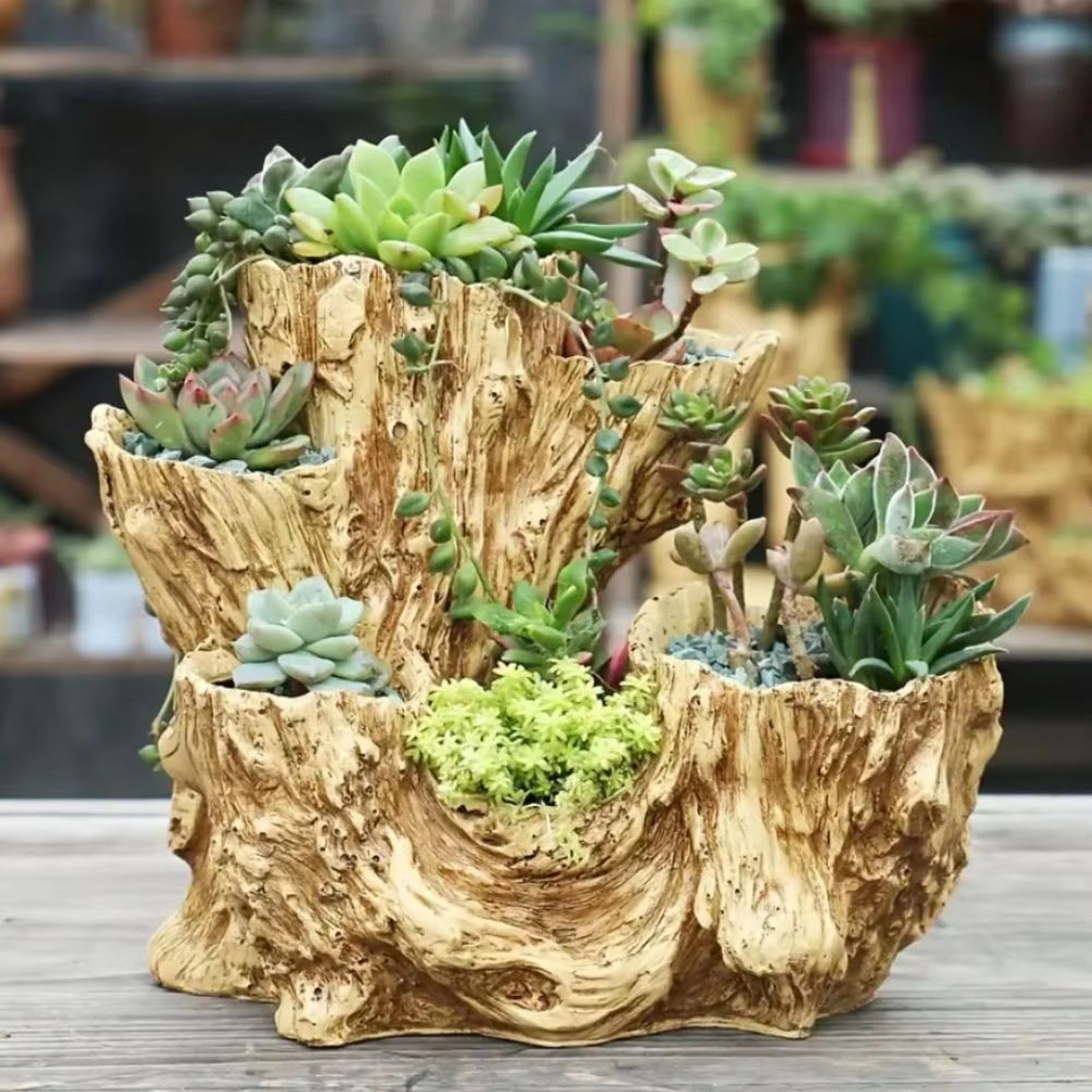 RetroStyle Resin Succulent Flowerpot With Drainage Hole Indoor Outdoor Planter 0