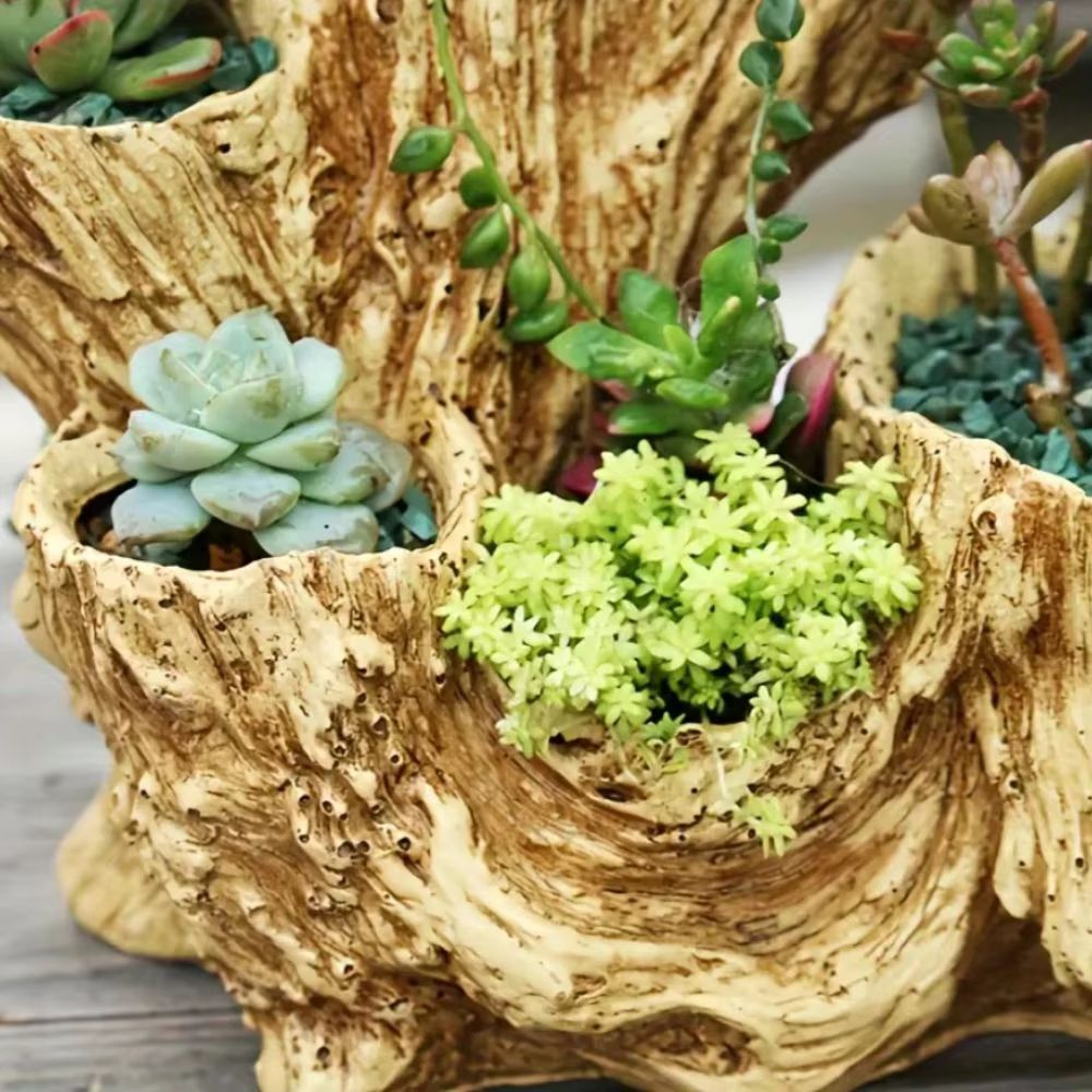 RetroStyle Resin Succulent Flowerpot With Drainage Hole Indoor Outdoor Planter 1