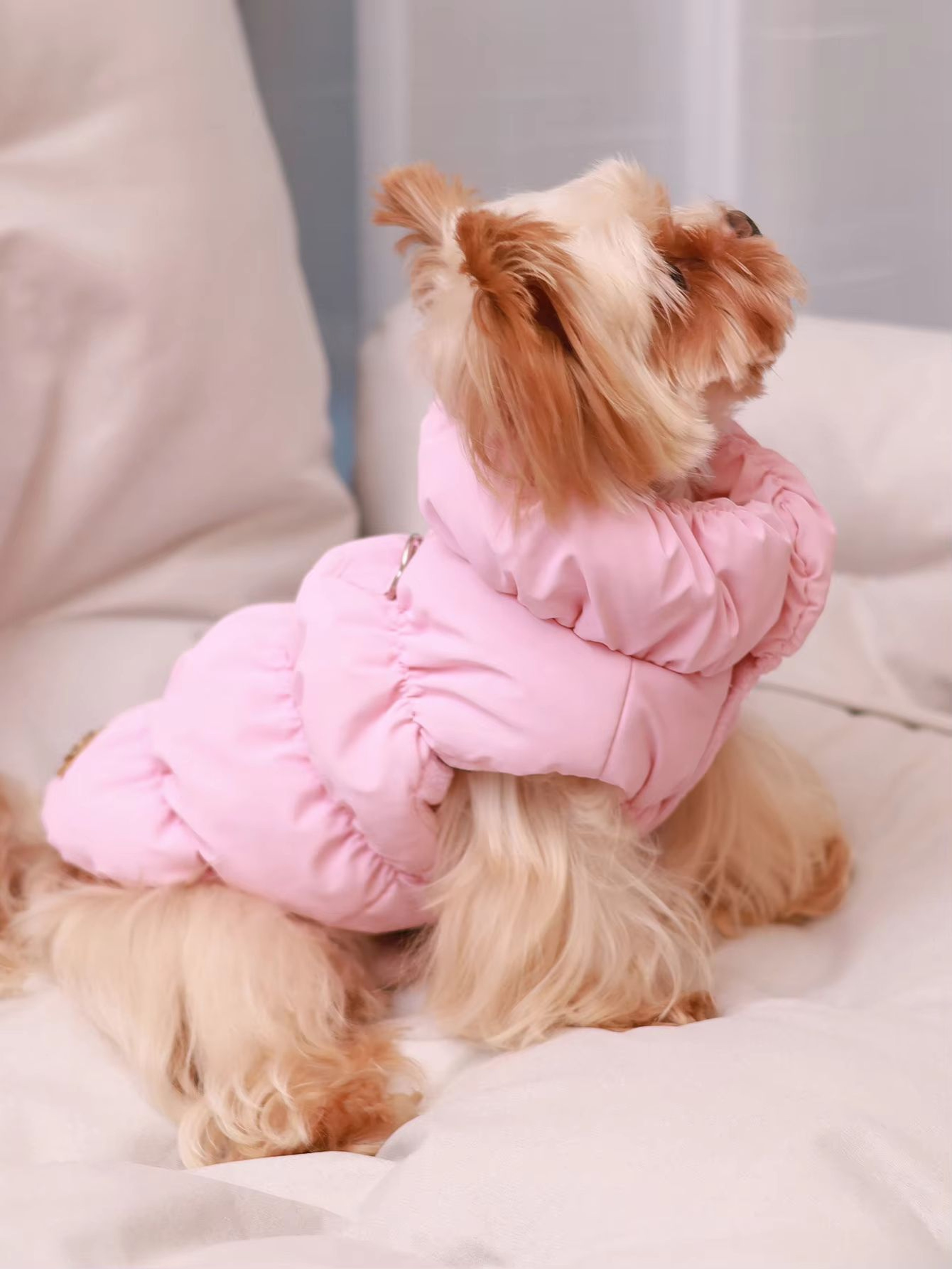 CozyShield 3 Layer Dog Jacket For Small And Medium Dogs 0